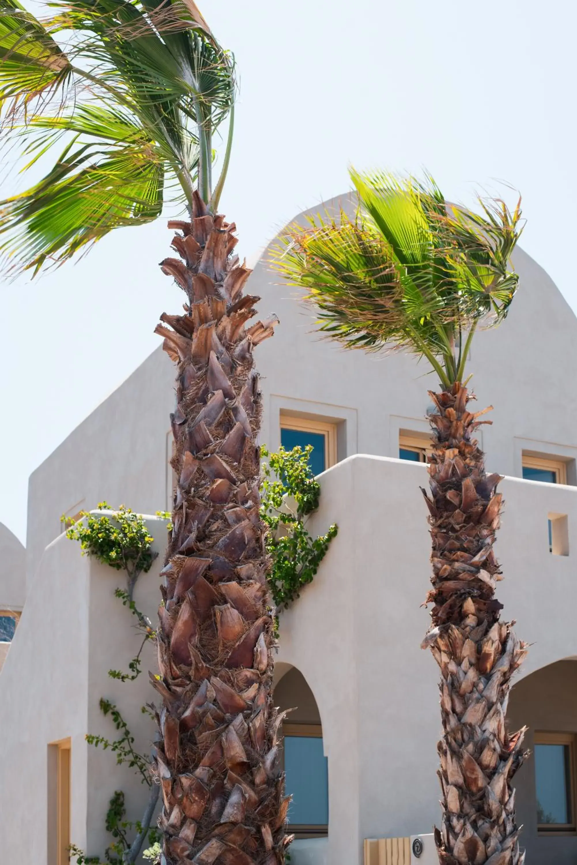 Property building in Colombos Beachfront Property building in Colombos Beachfront