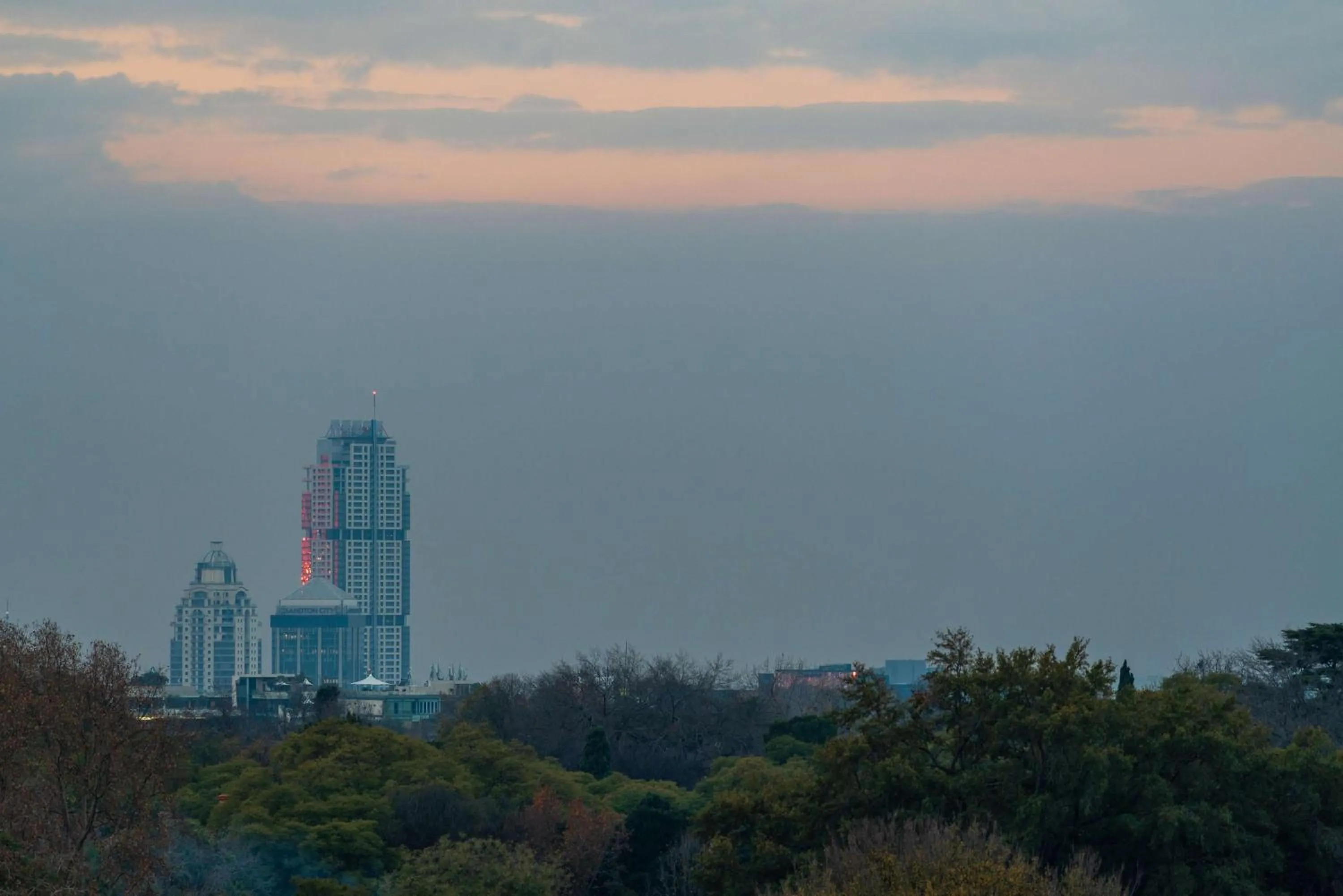 Night in Radisson RED Hotel Johannesburg Rosebank