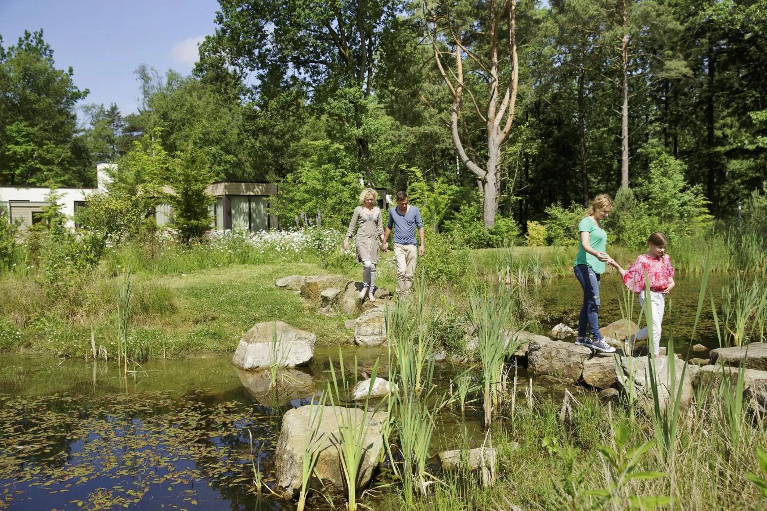 Natural landscape in Center Parcs Bispinger Lüneburger Heide