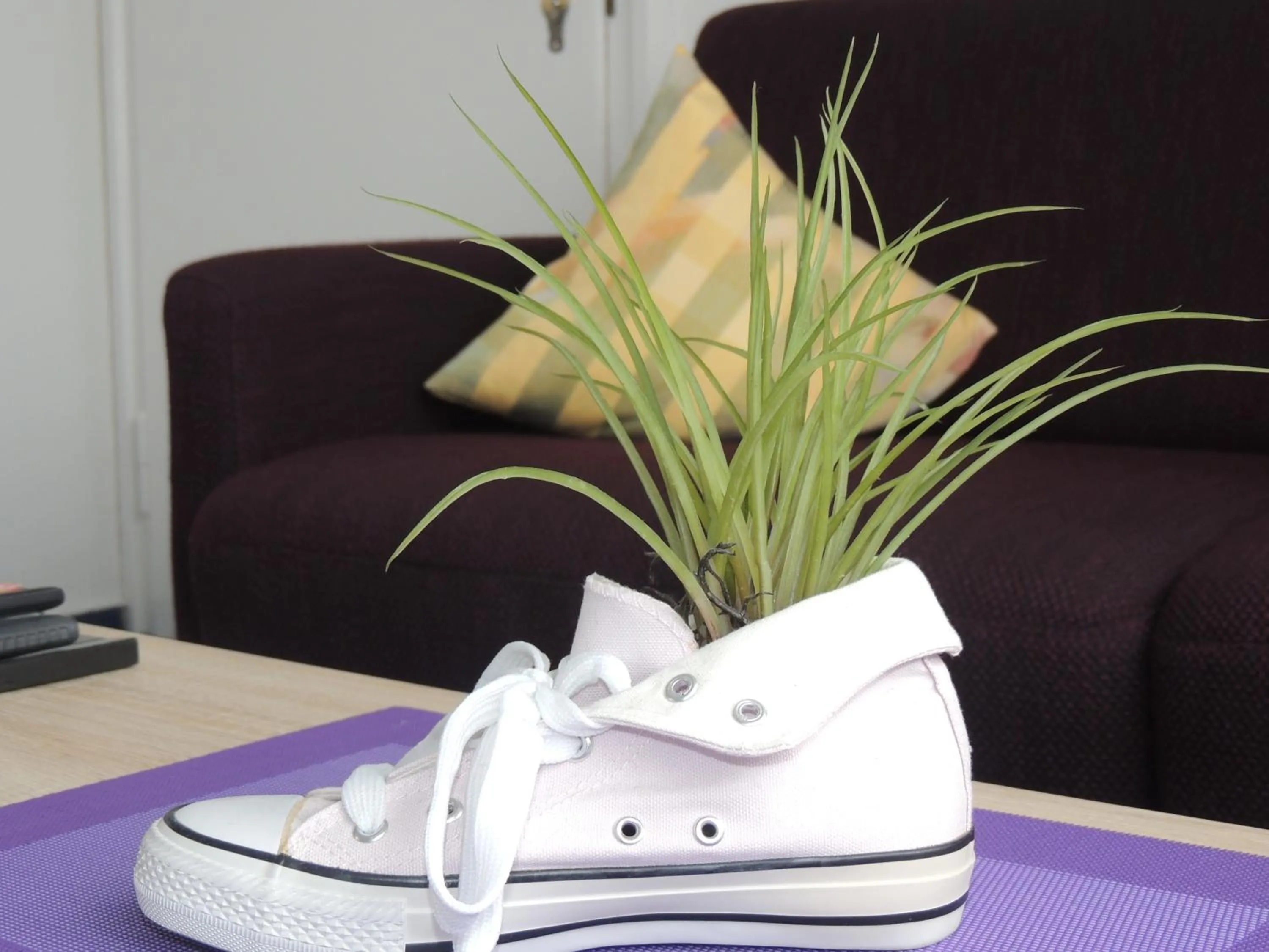 Decorative detail in Deutsches Haus Munster