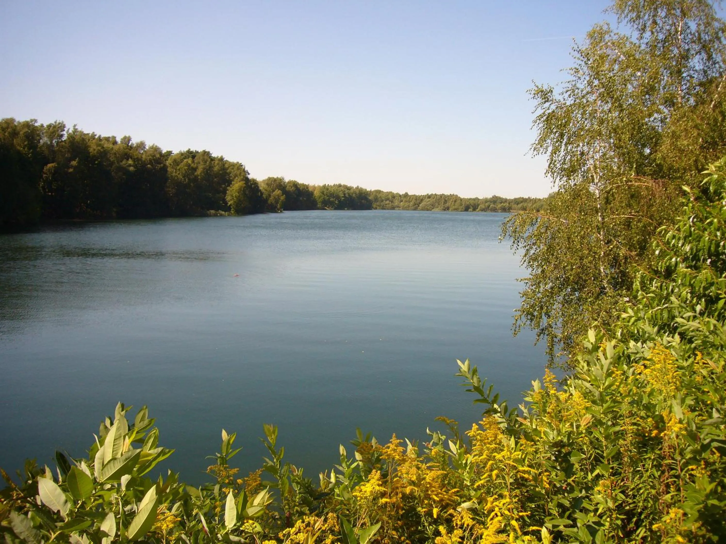 Windsurfing in Deutsches Haus Munster