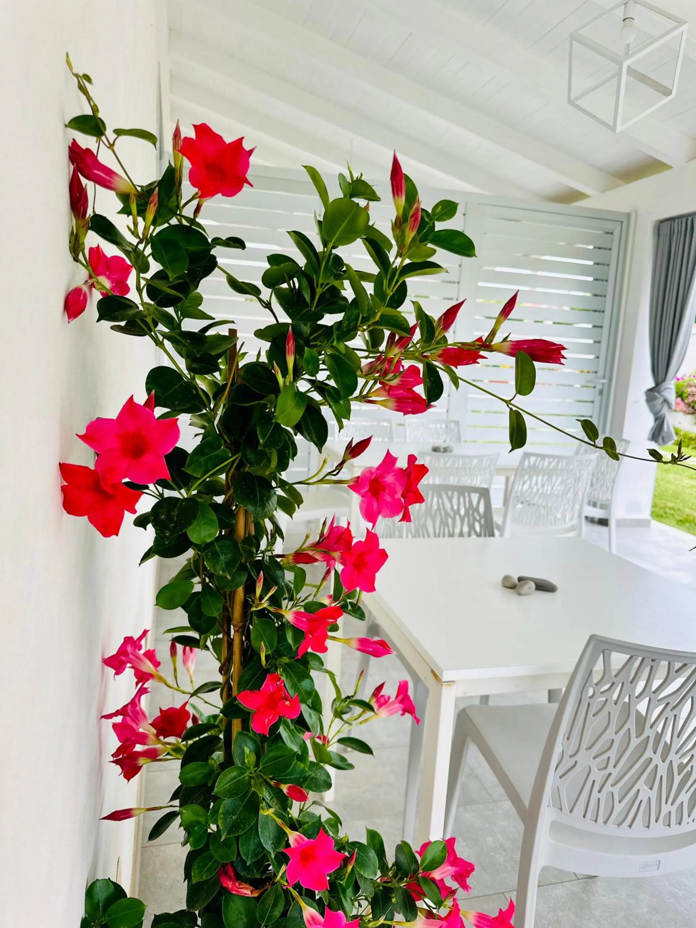 Breakfast in InVilla Bed&Breakfast - Quality Rooms