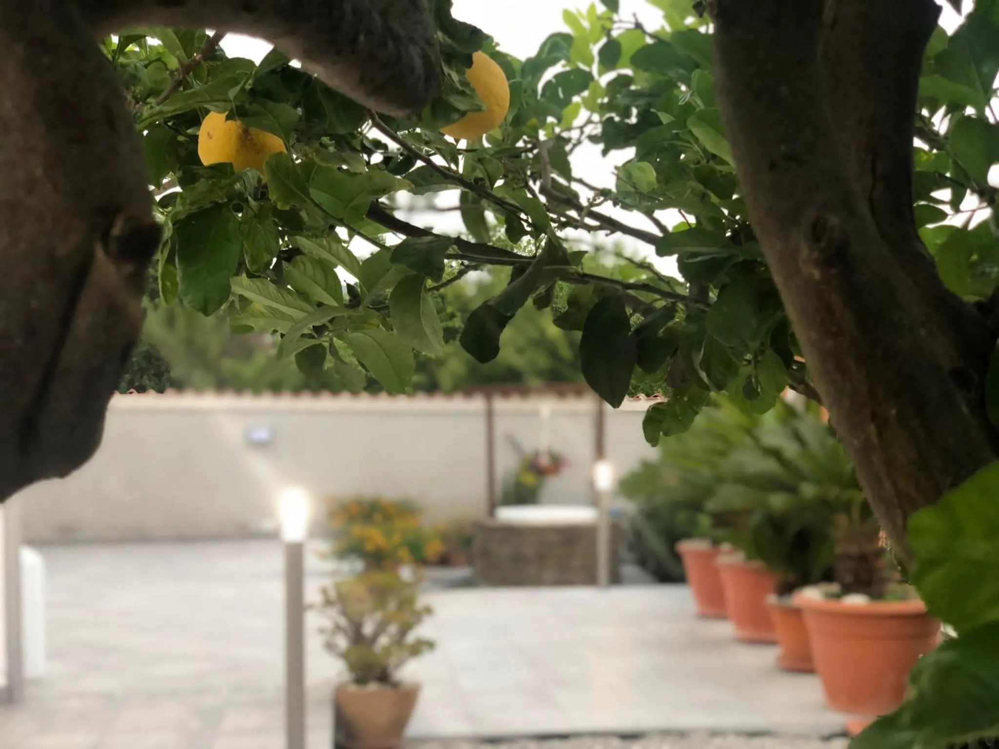 Garden in InVilla Bed&Breakfast - Quality Rooms