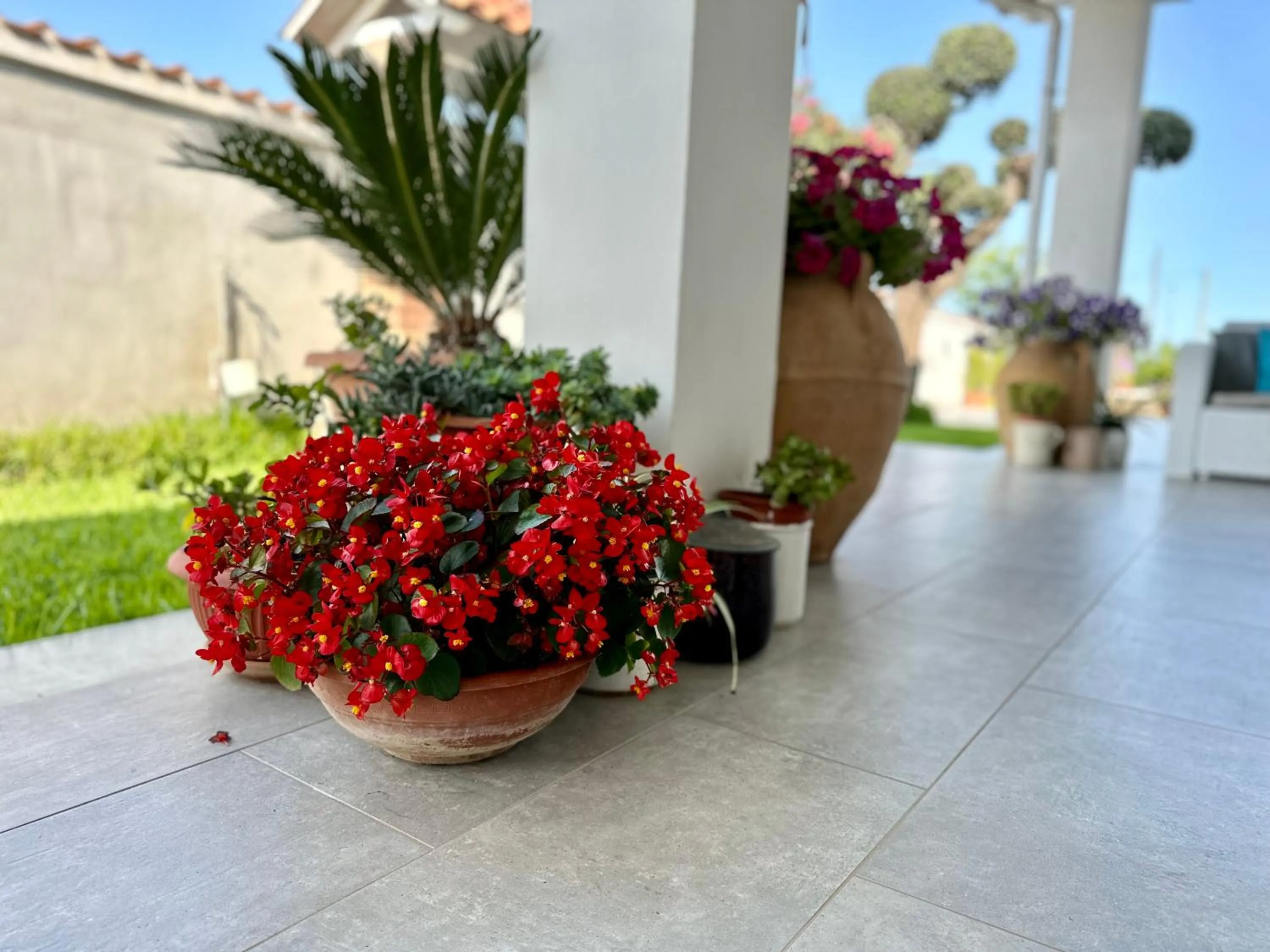 Garden view in InVilla Bed&Breakfast - Quality Rooms