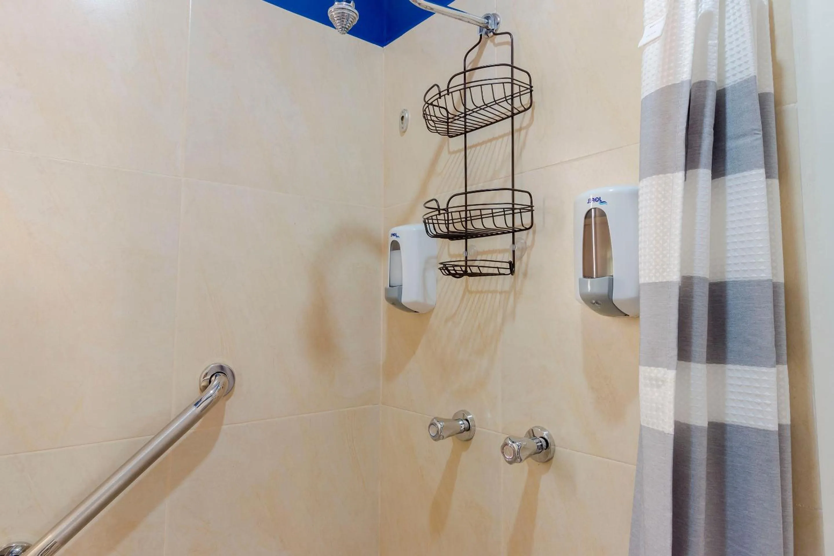 Shower in Breezy & Bright Full Apartment