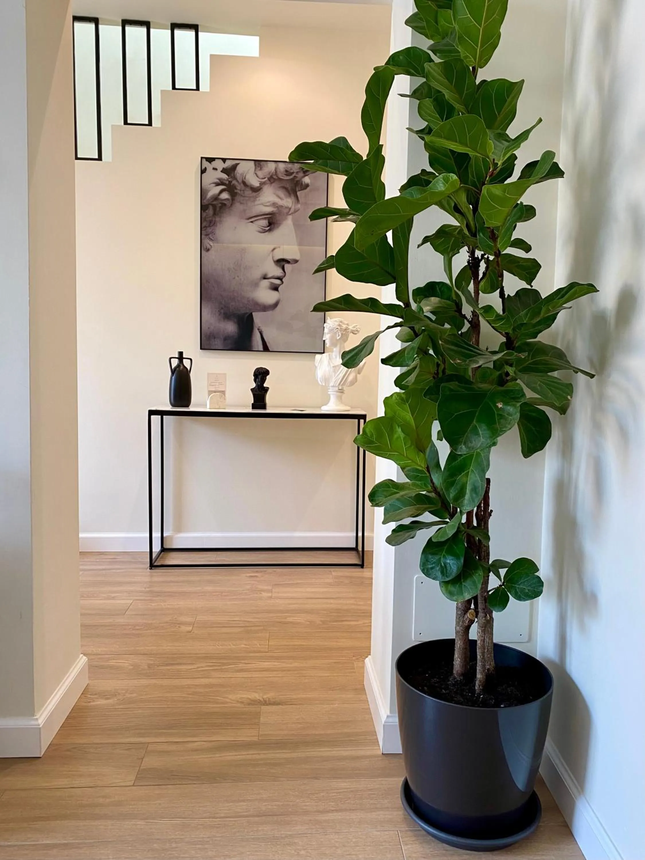 Decorative detail in SCIABICA SUITE - Sicilian Experience