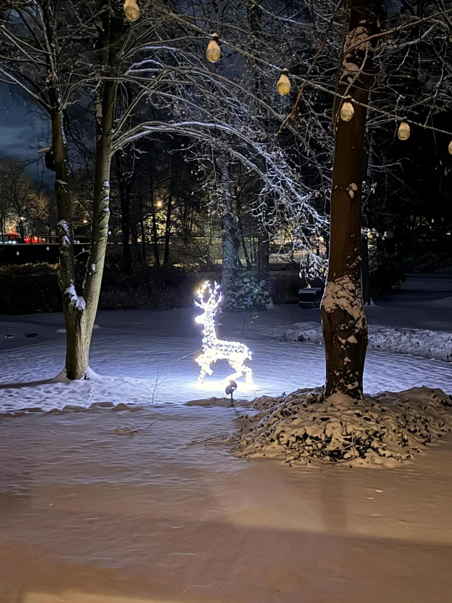 Landhotel Gutshof im Oertzetal in Oldendorf, Südheide