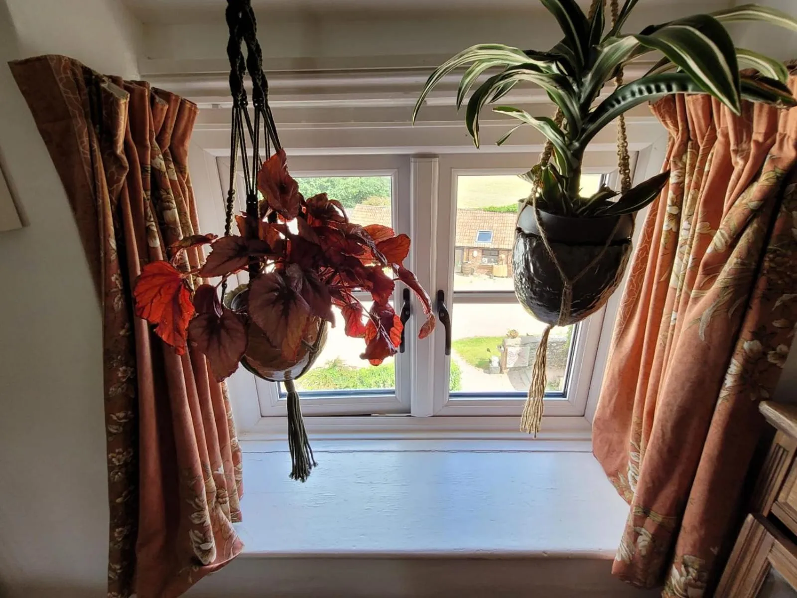 Garden view in Art House B & B