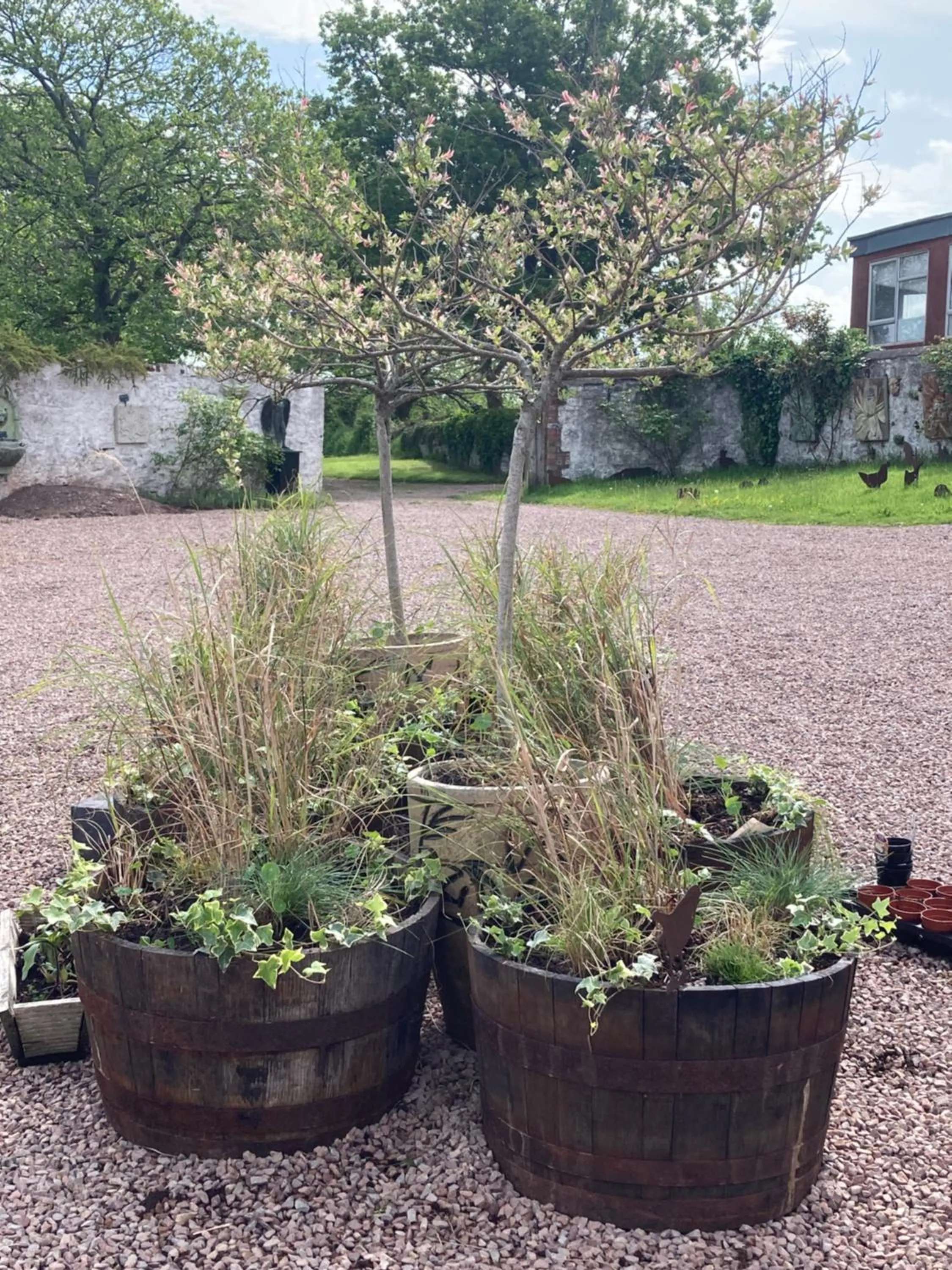 Balcony/Terrace in Art House B & B