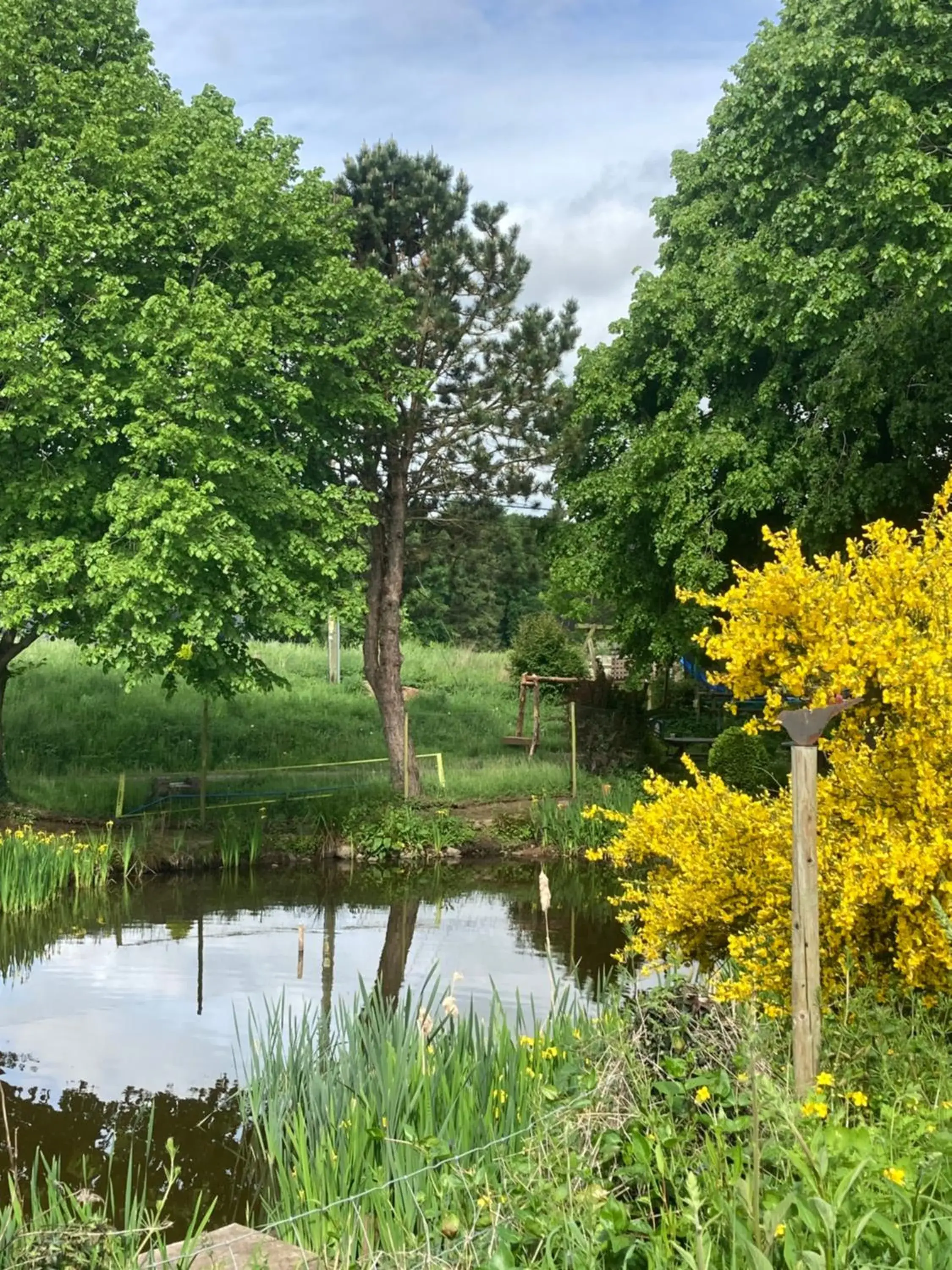 King Room with Garden View in Art House B & B King Room with Garden View in Art House B & B