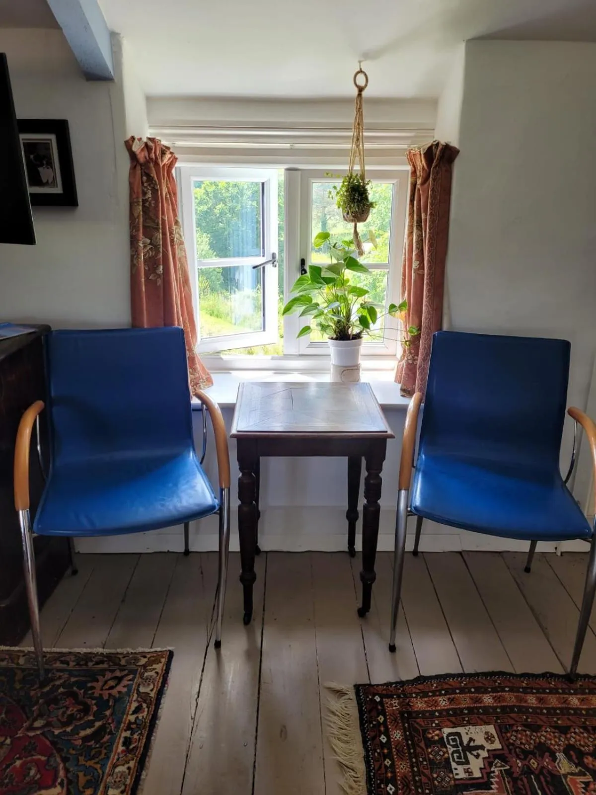 Garden in Art House B & B