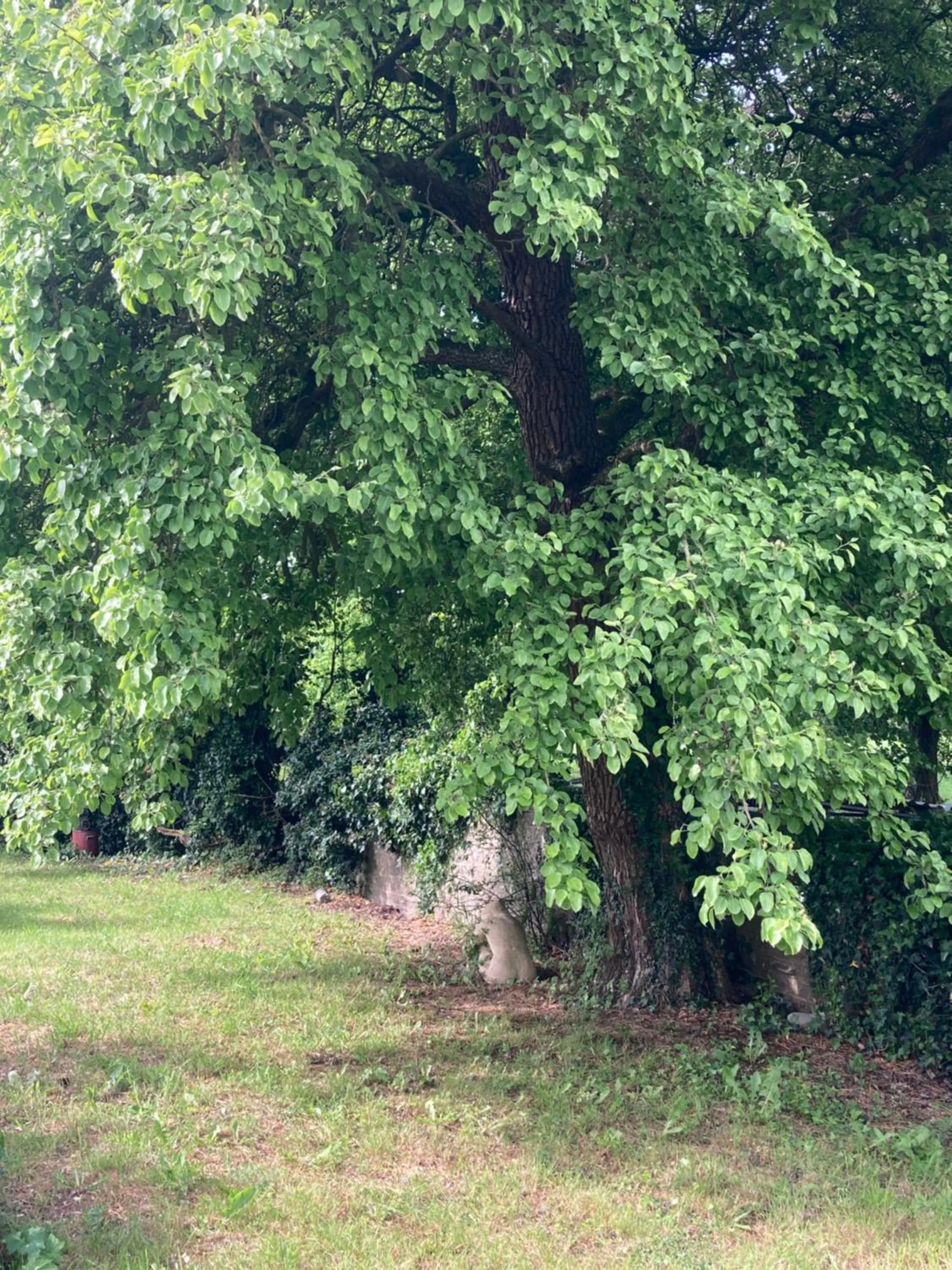Natural landscape in Art House B & B