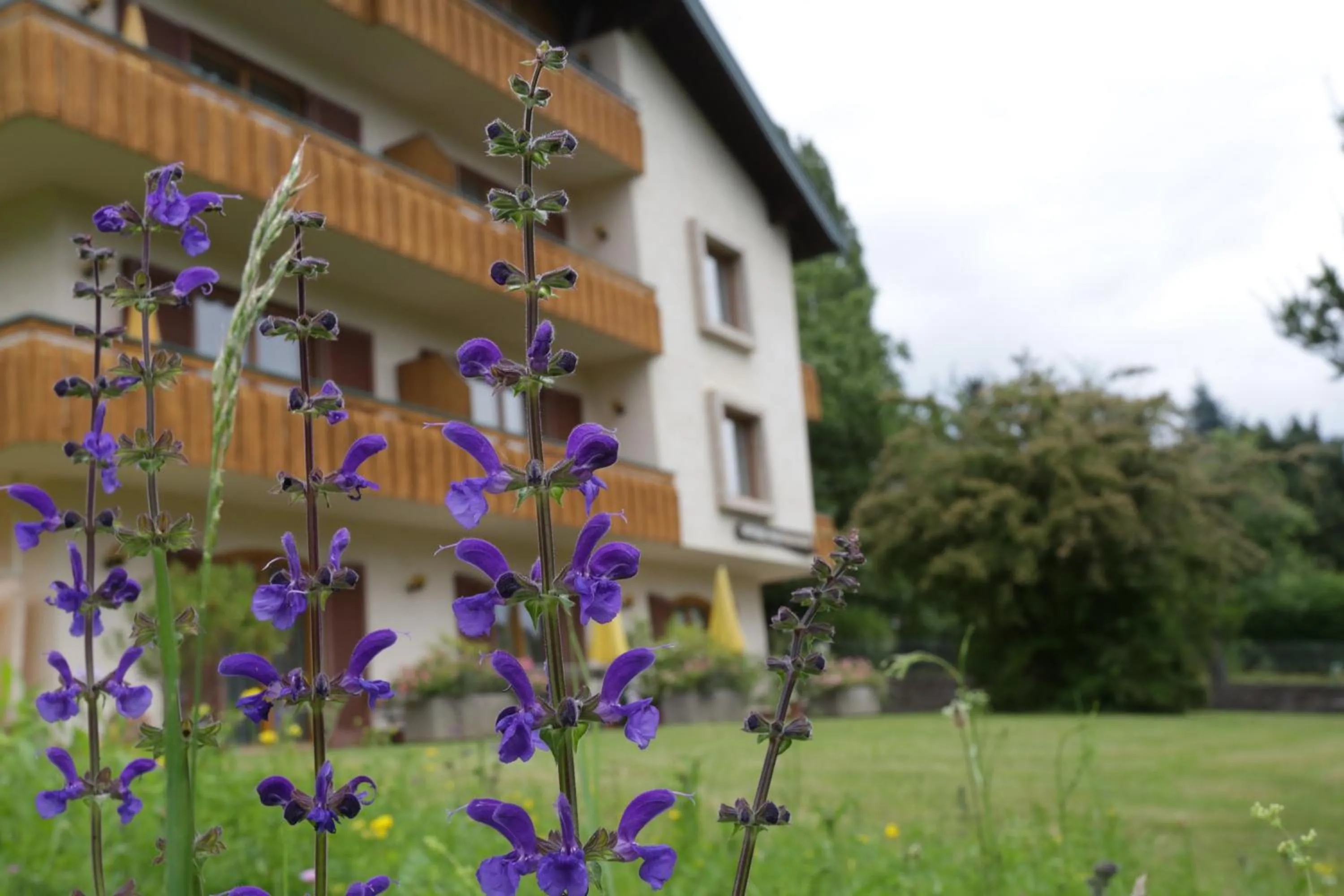 Property building in Pesentheinerhof