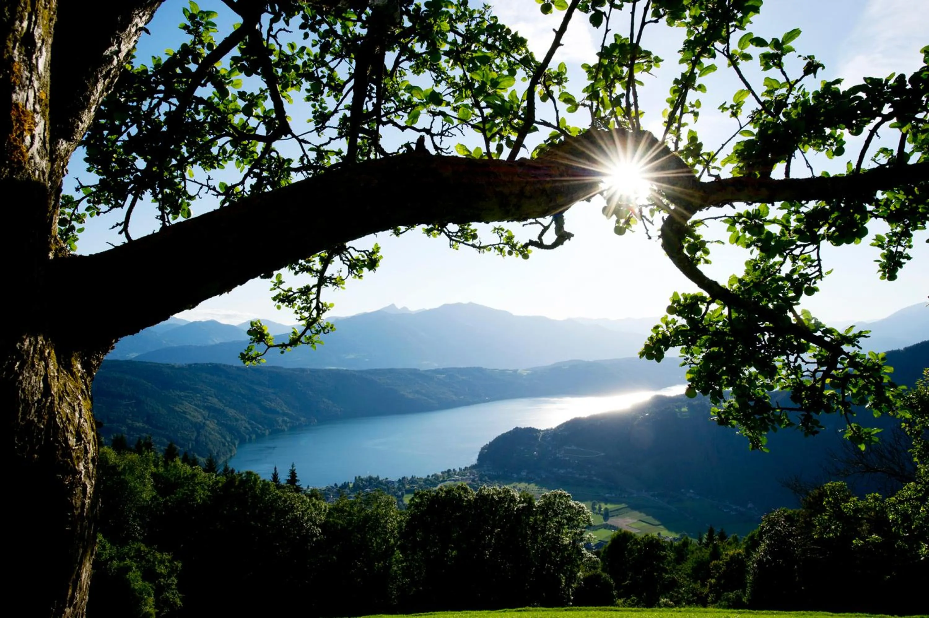 Hiking in Pesentheinerhof