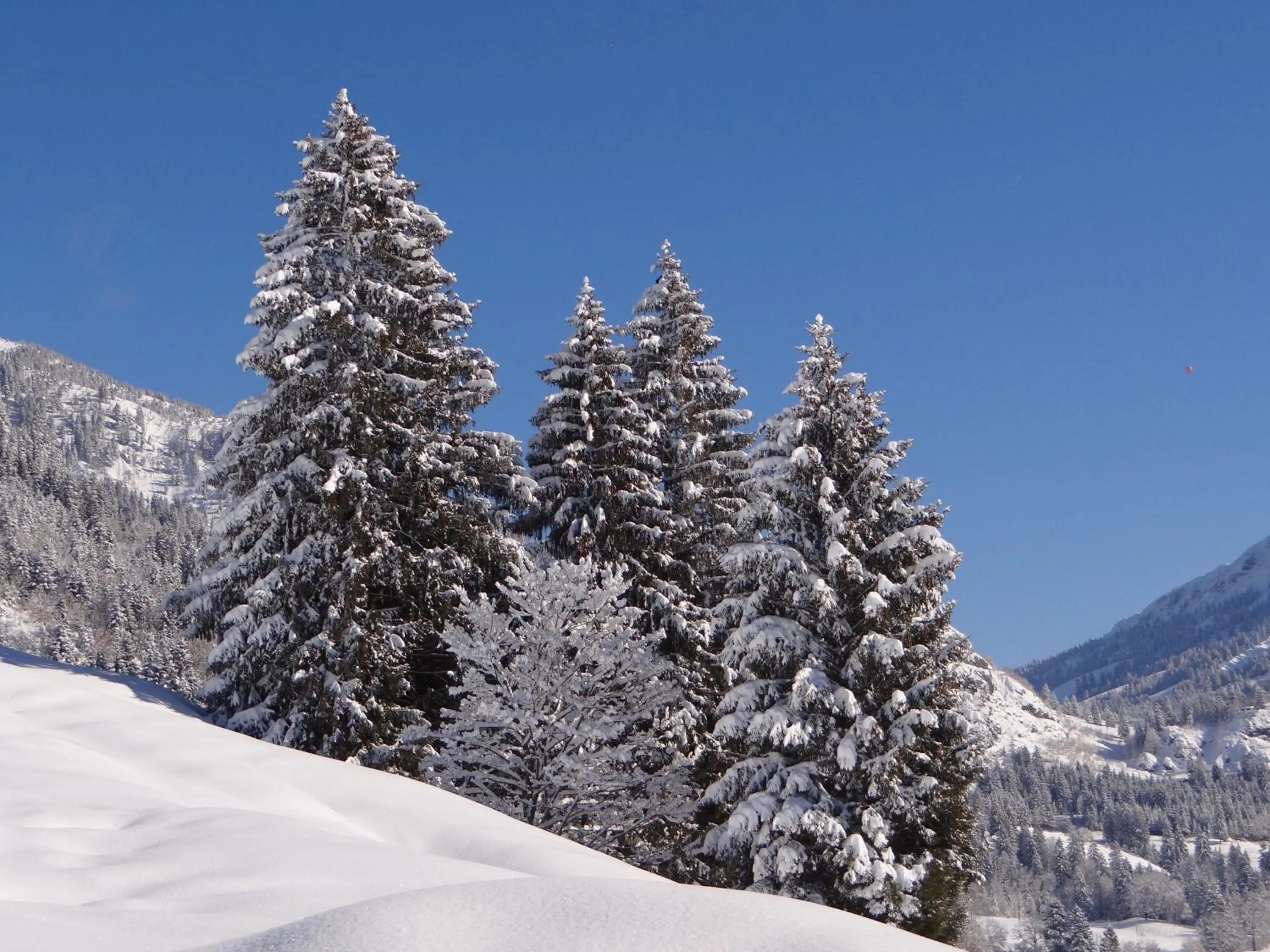 Winter in Hotel Garni Malerwinkl