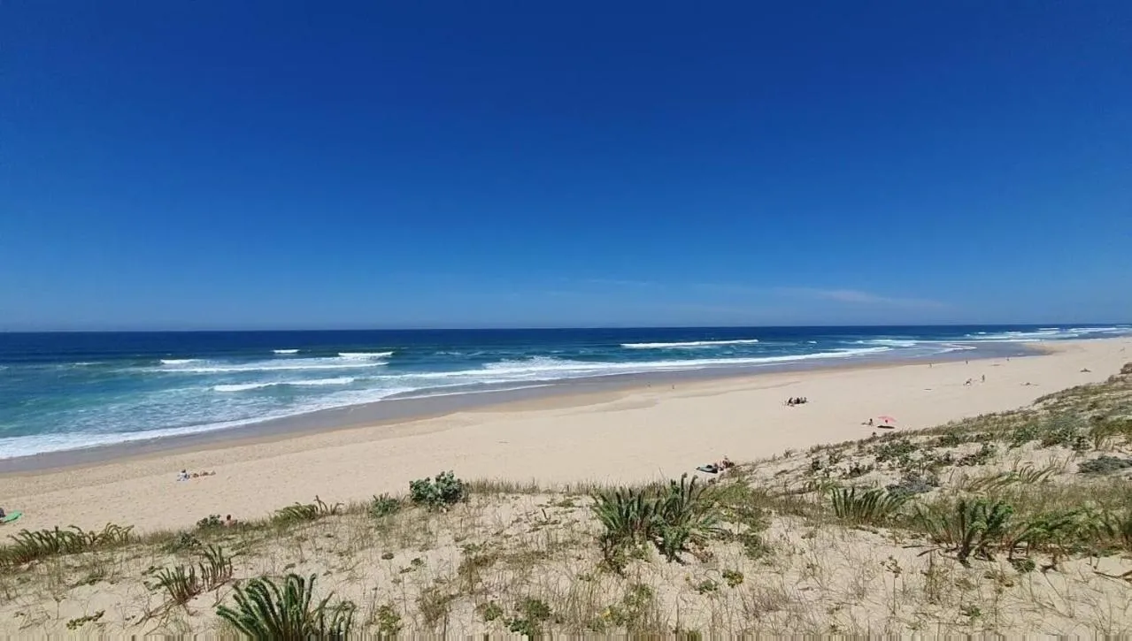 Beach in Maison Gemme a Landes