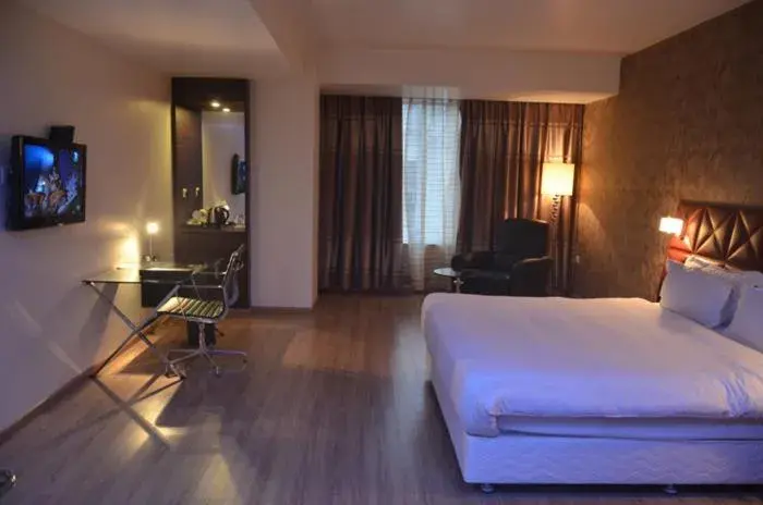 Bedroom, TV/Entertainment Center in Hotel Patliputra Exotica Bedroom, TV/Entertainment Center in Hotel Patliputra Exotica