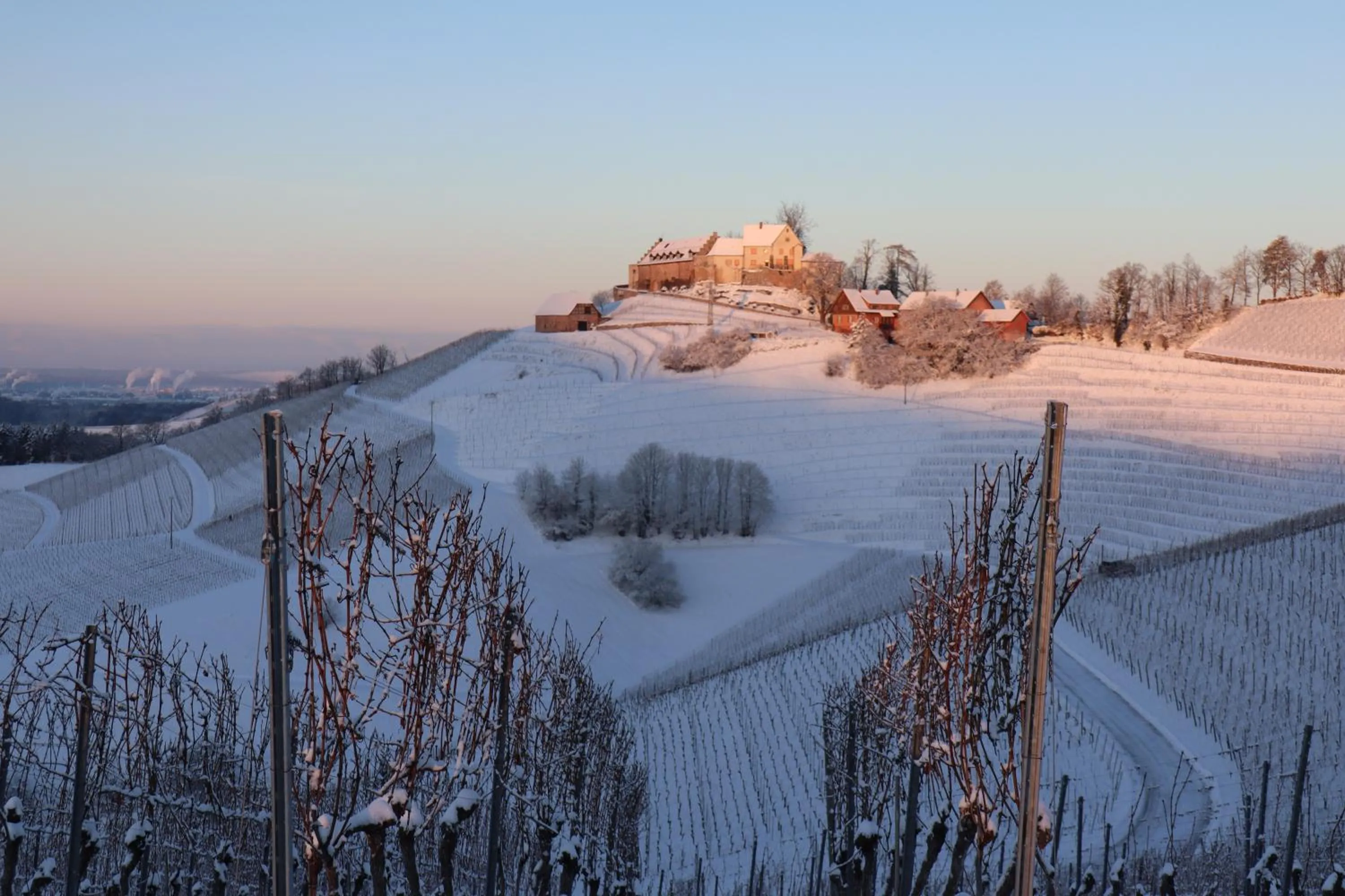 Area and facilities in Hotel Ritter Durbach