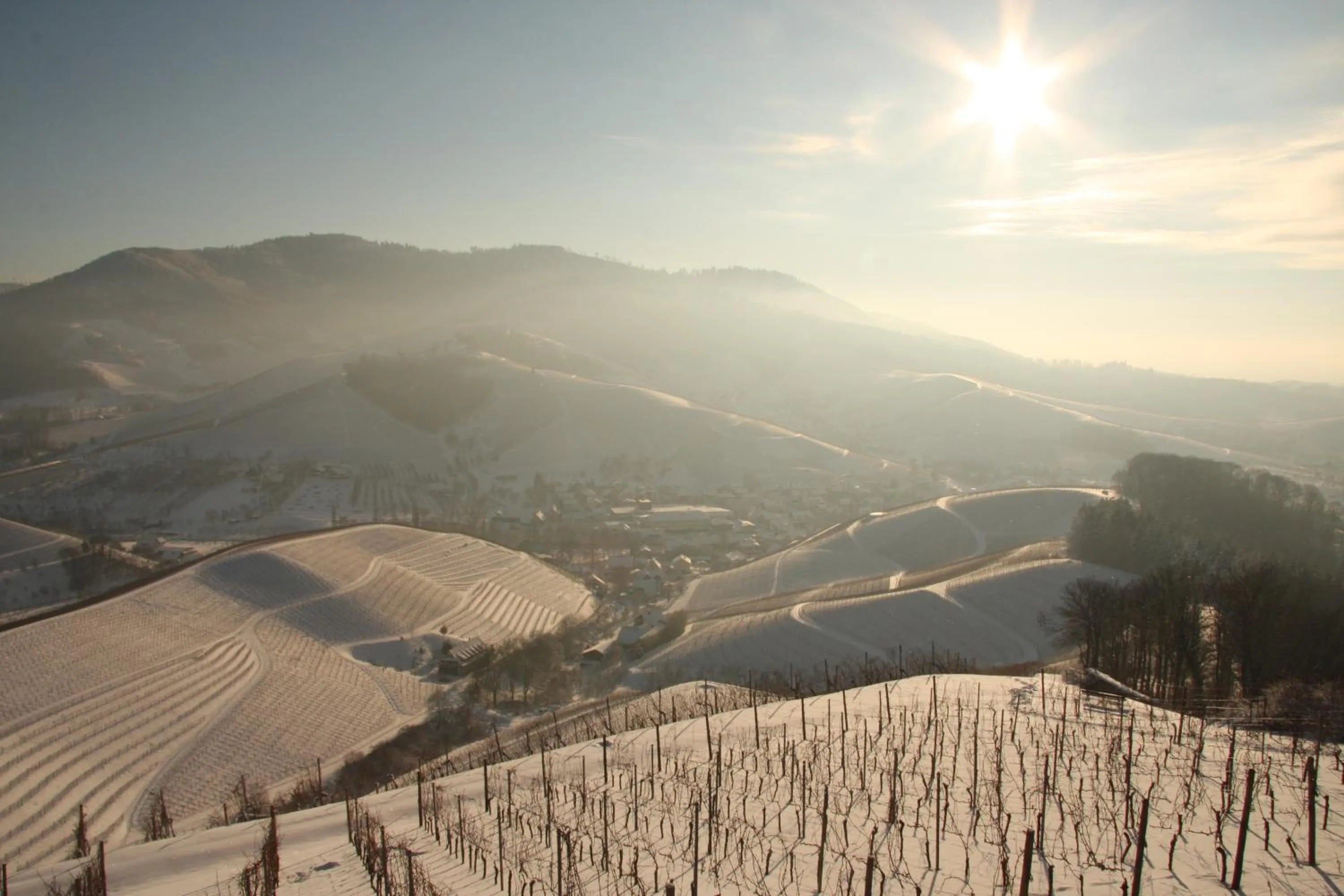 Winter in Hotel Ritter Durbach