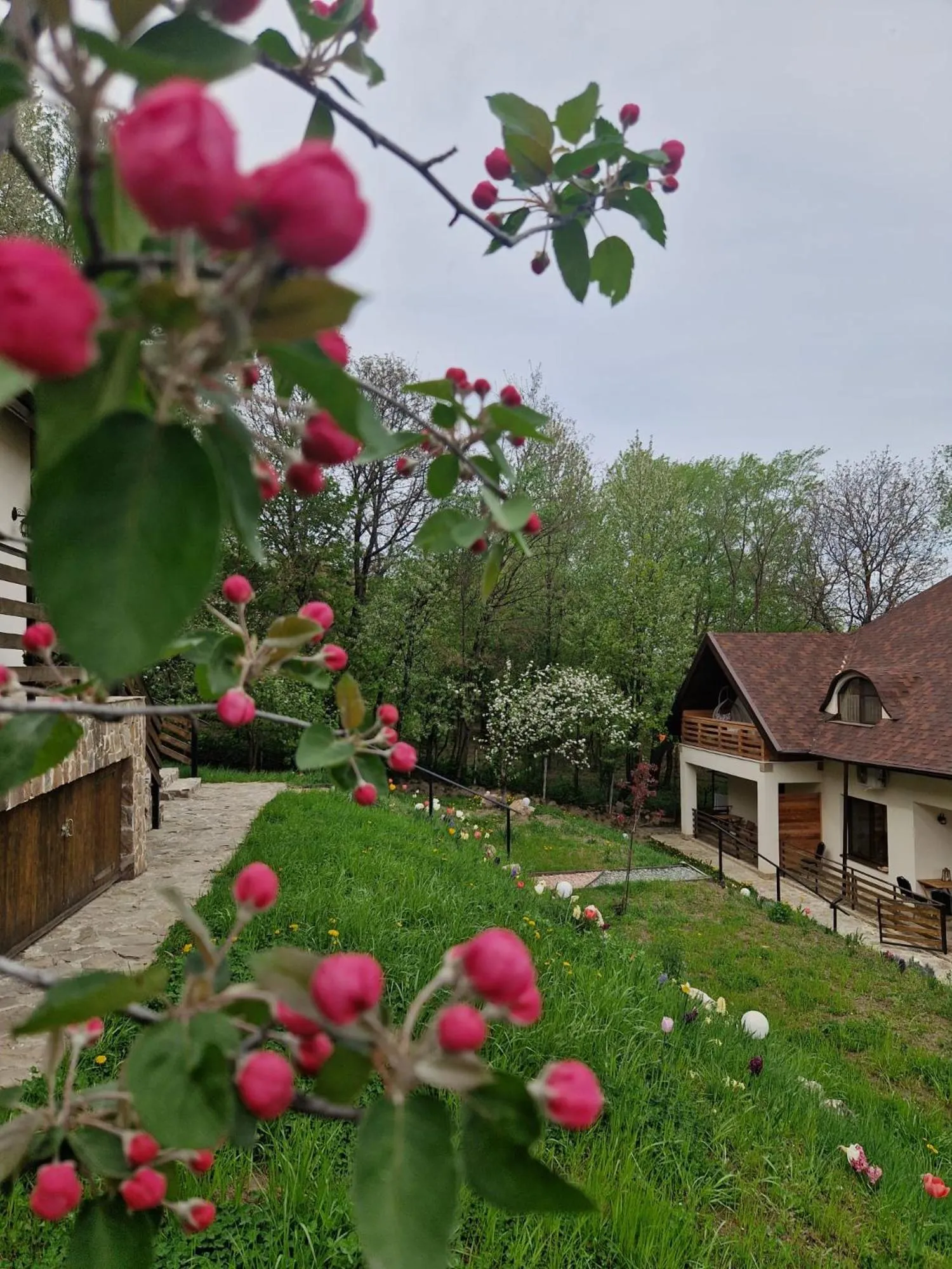 Property building in Provence Suceava