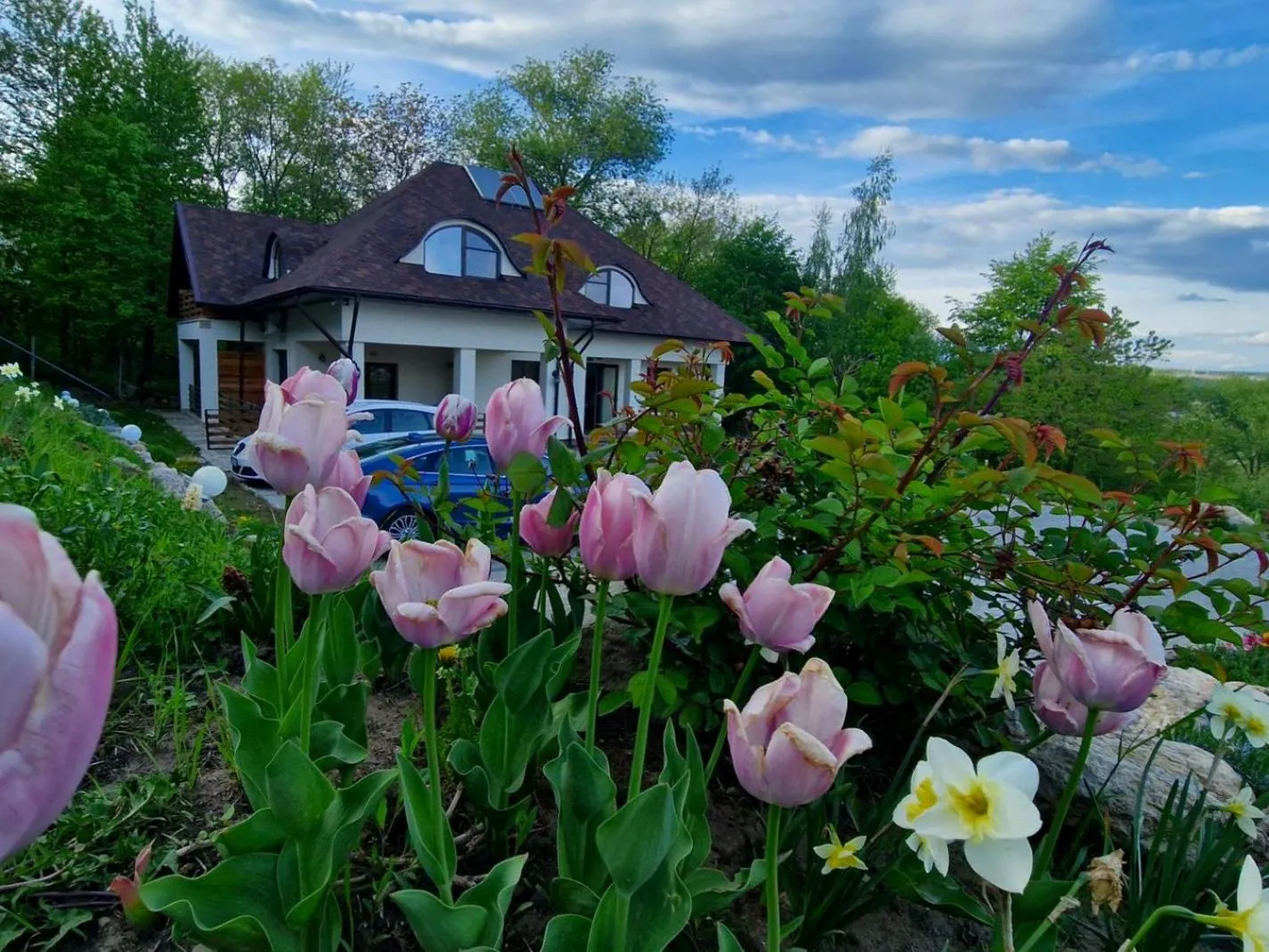 Property building in Provence Suceava