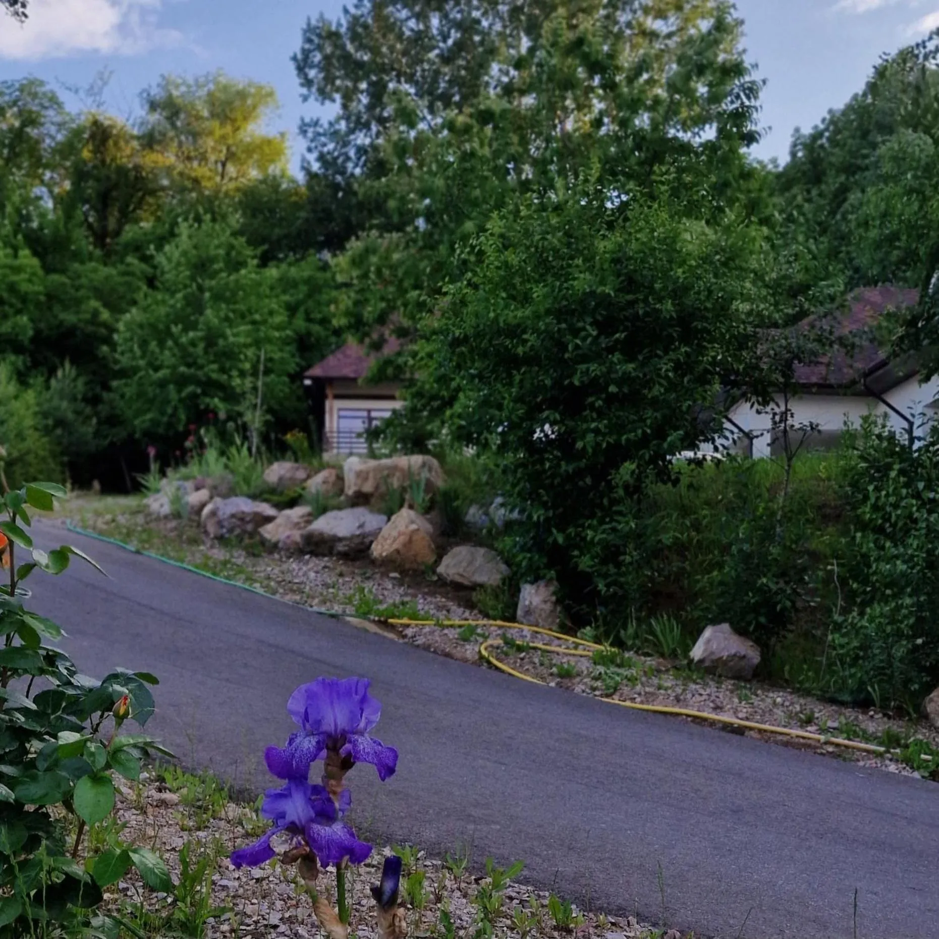 Property building in Provence Suceava