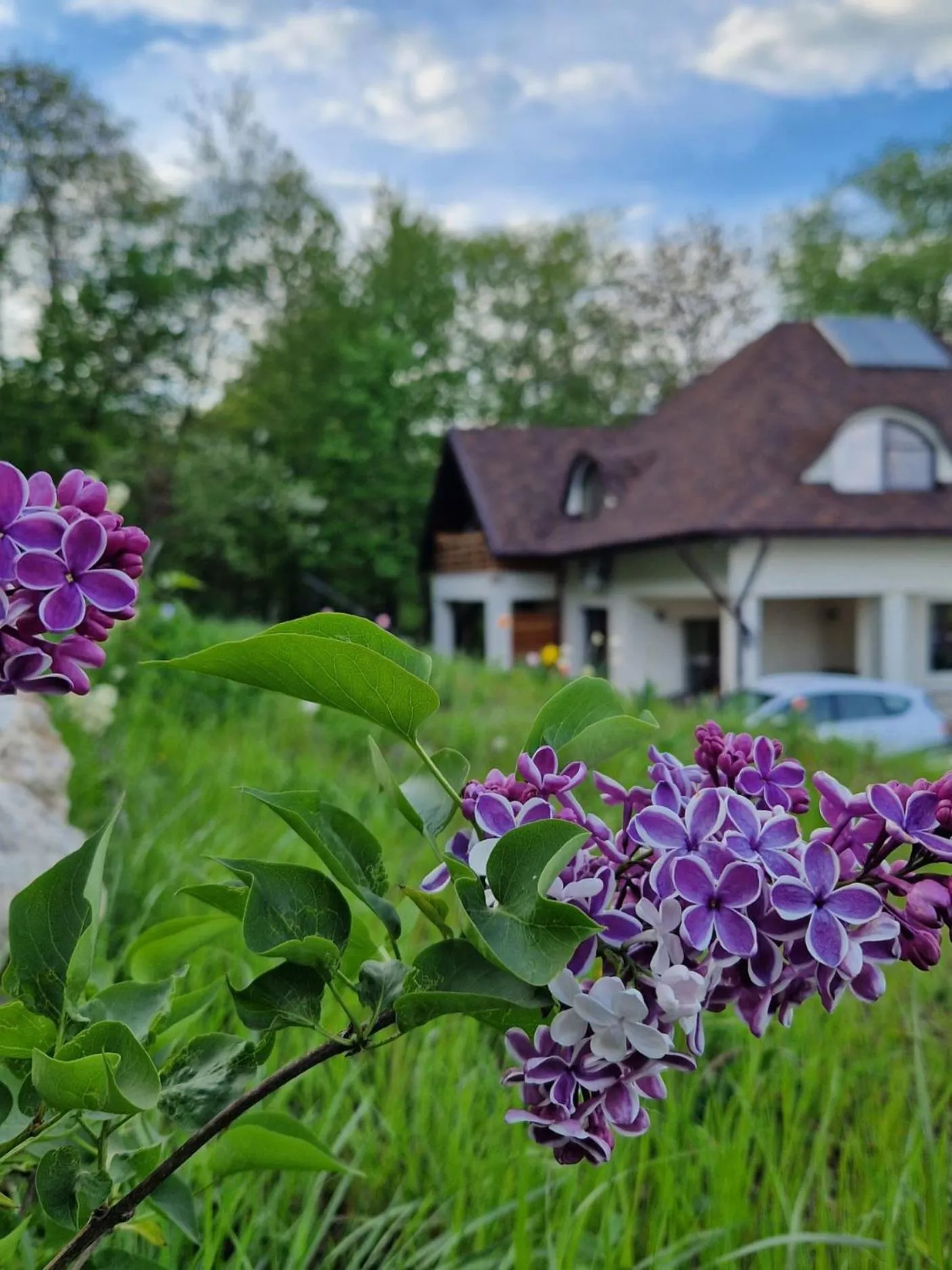 Property building in Provence Suceava
