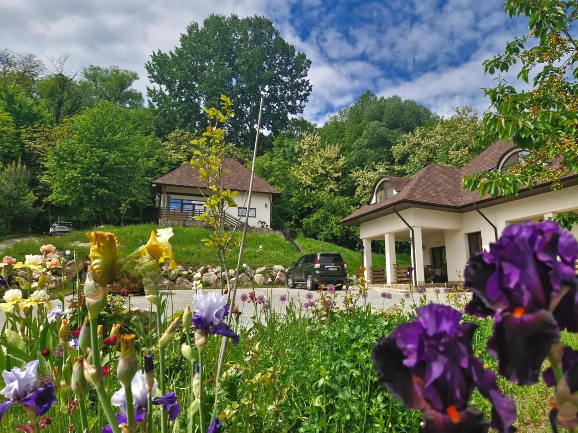 Property building in Provence Suceava