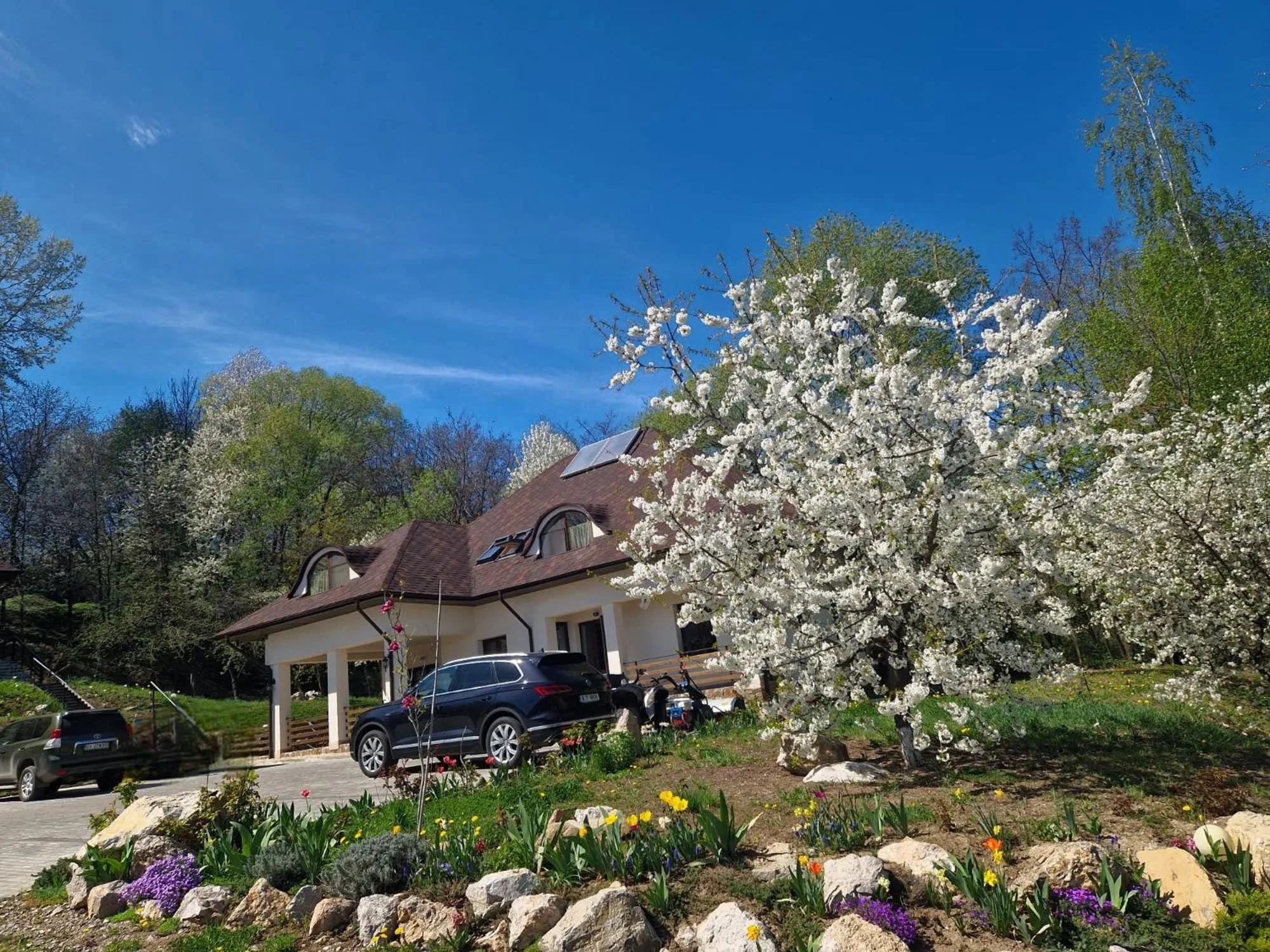 Property building in Provence Suceava