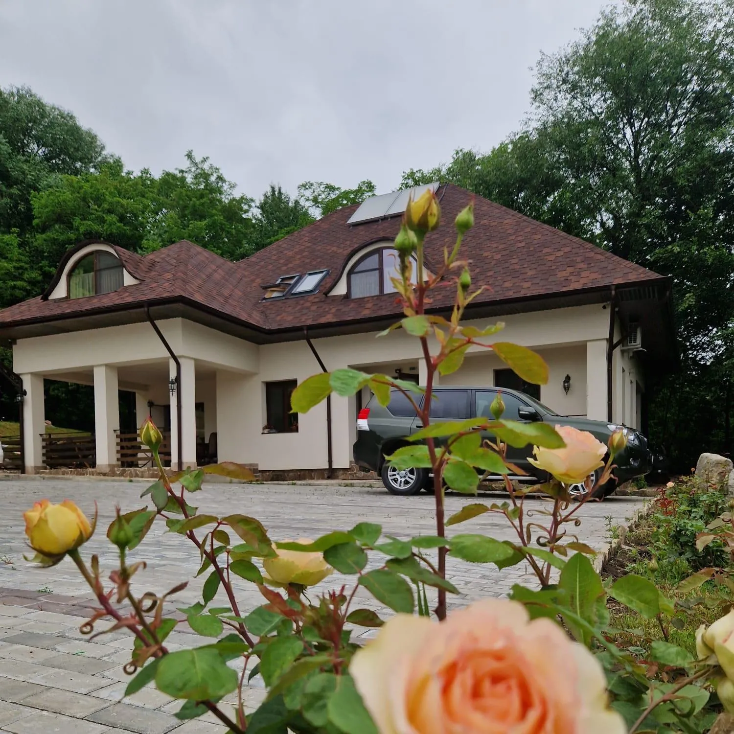 Property building in Provence Suceava