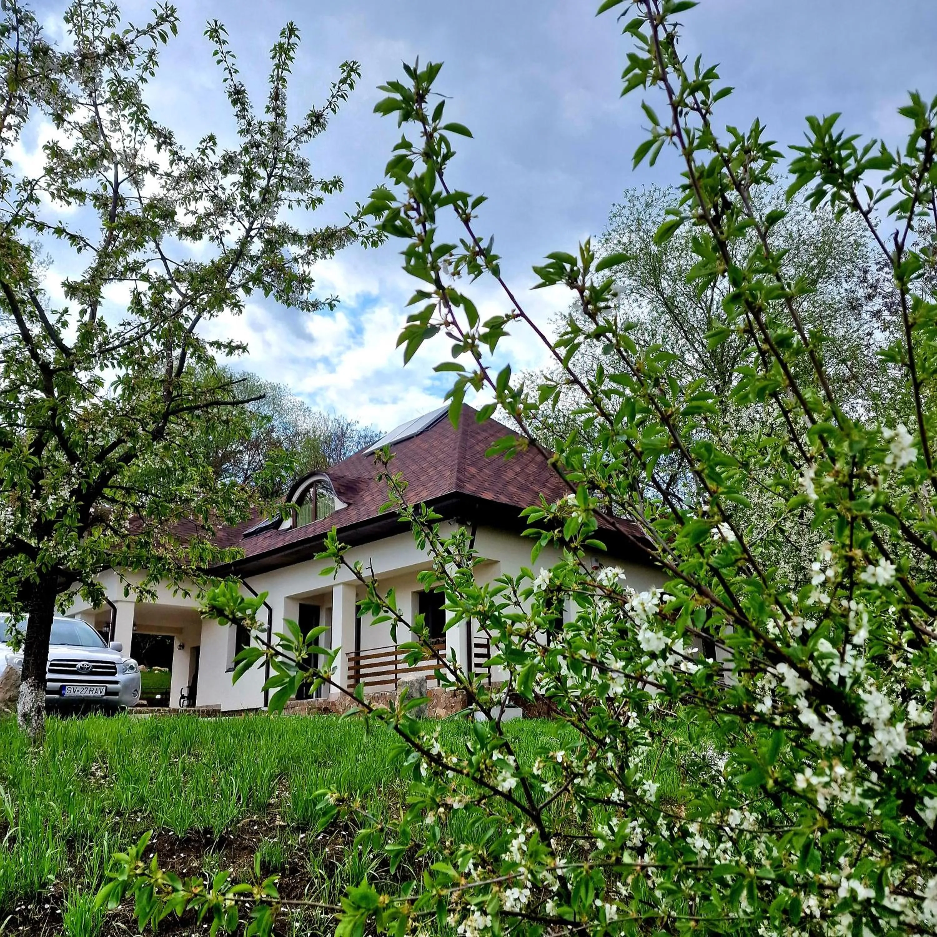 Property building in Provence Suceava