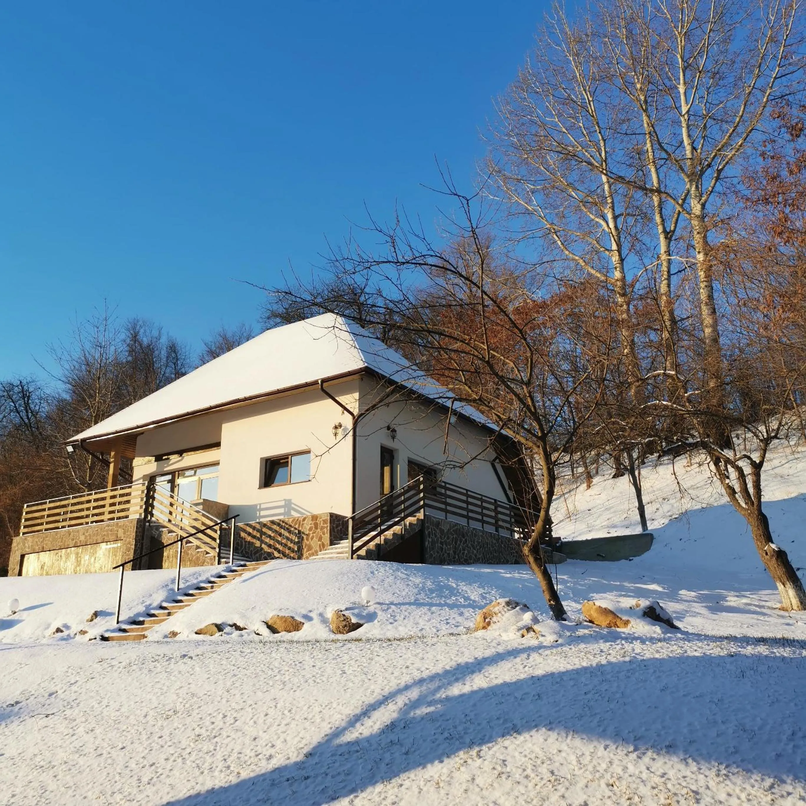 Property building in Provence Suceava