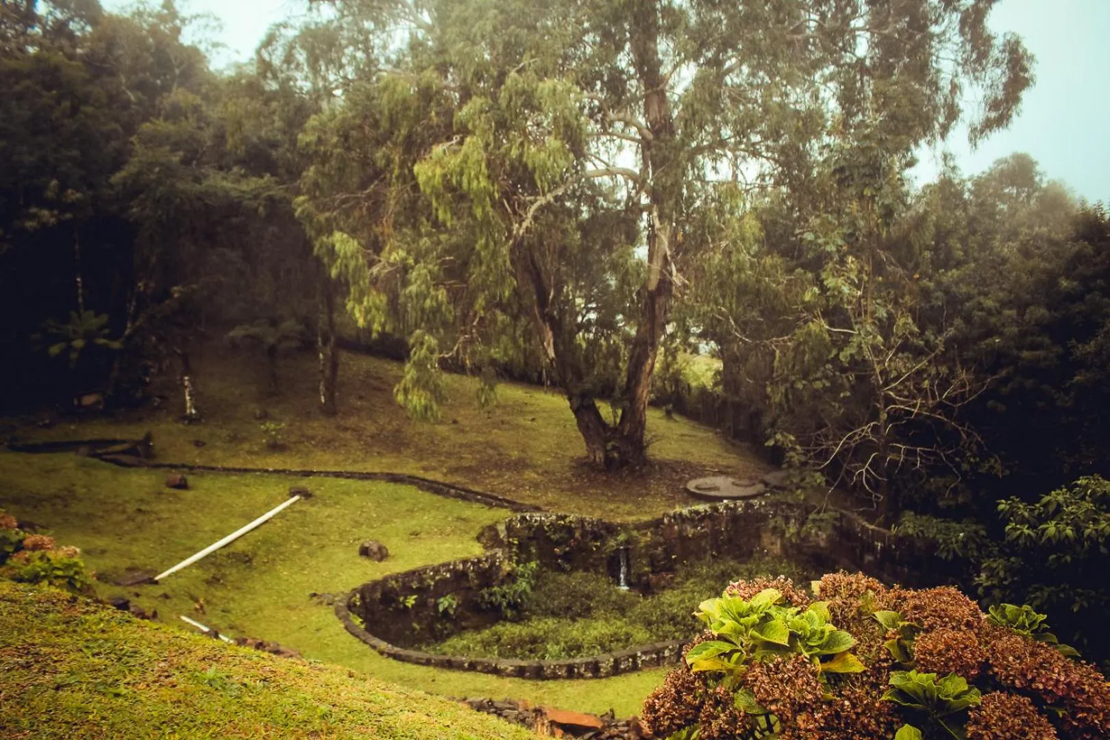 Garden view in Hotel Renascença