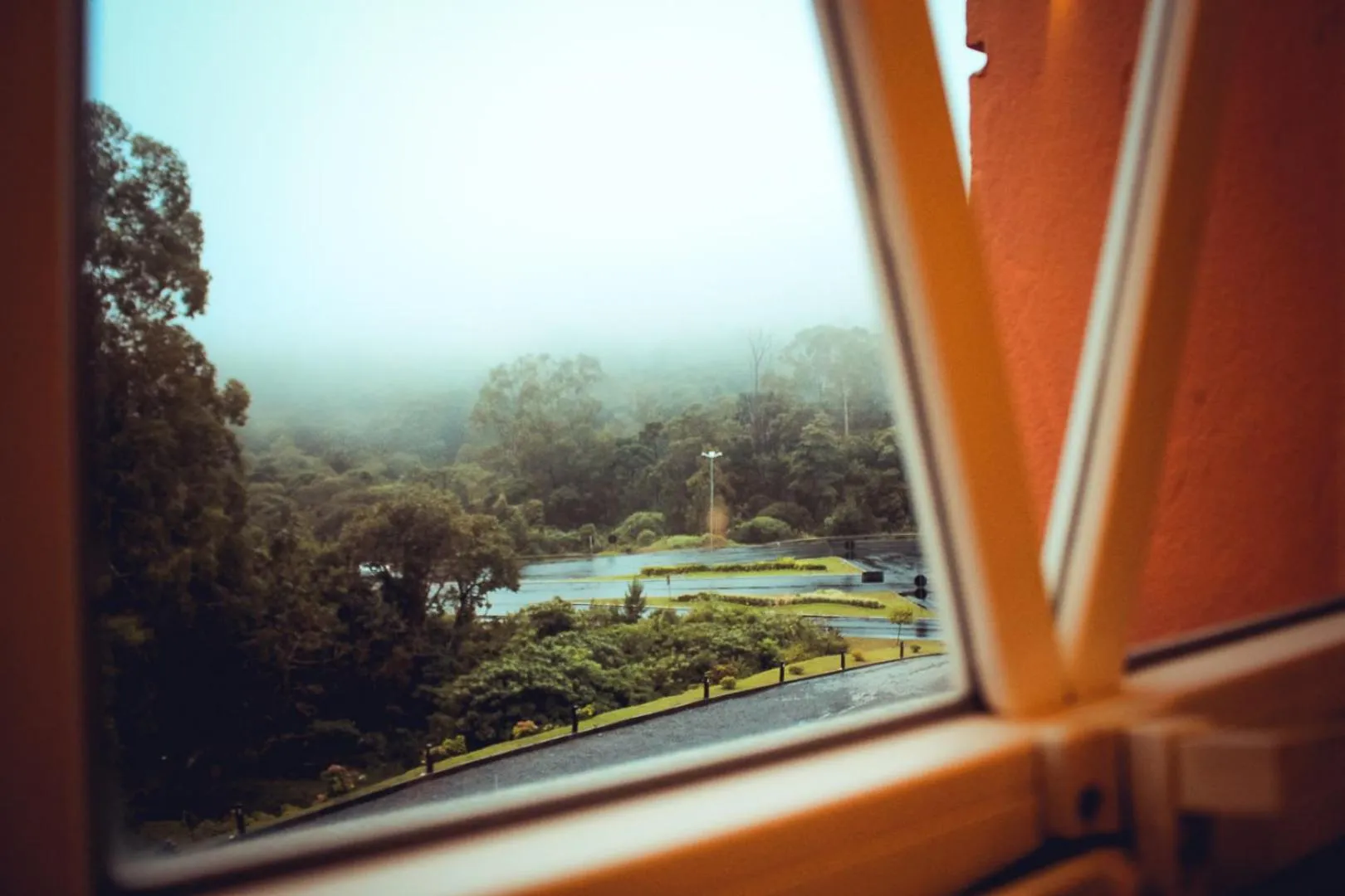 Garden view in Hotel Renascença