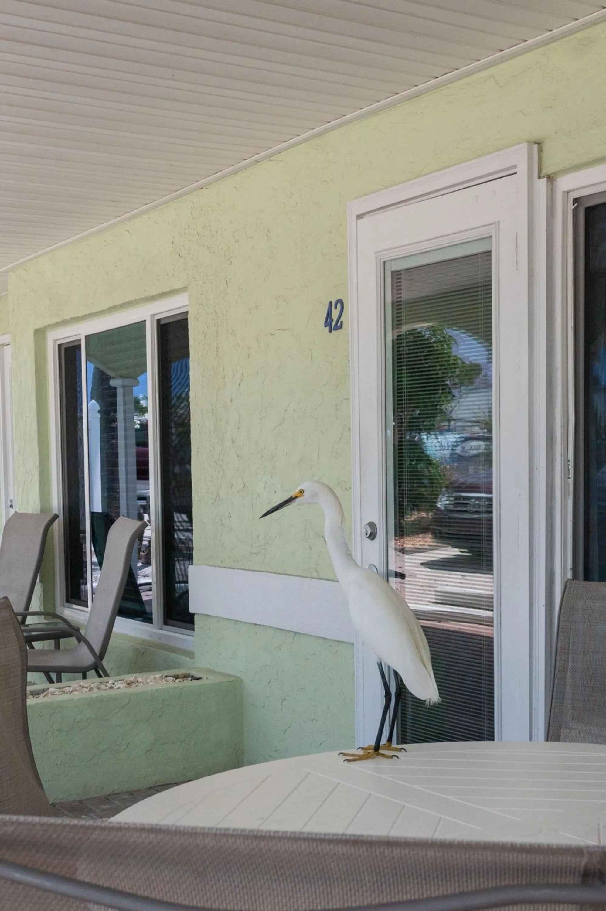 A Beach Retreat on Casey Key