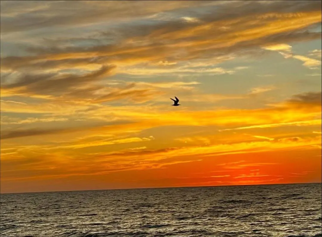 A Beach Retreat on Casey Key