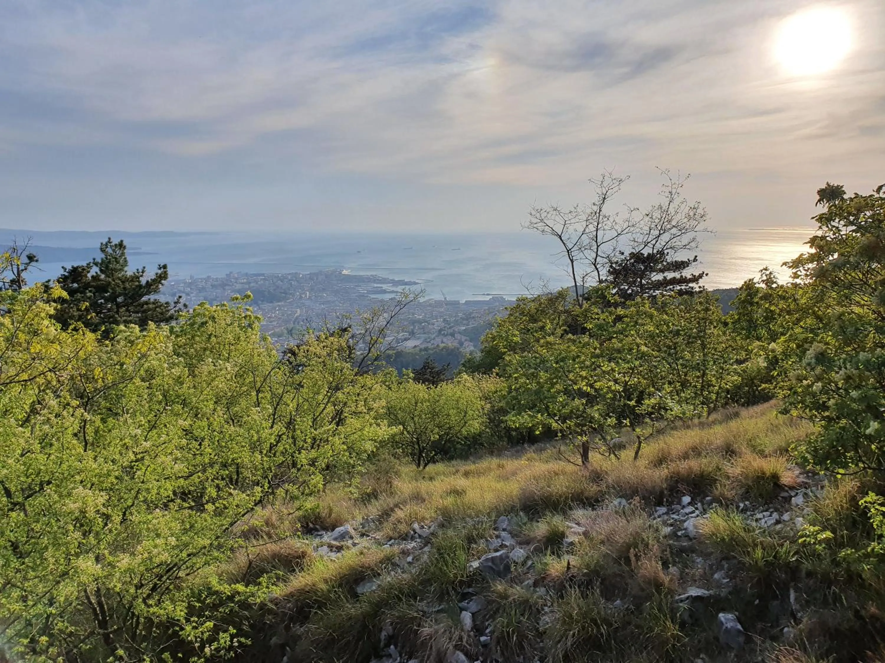 Natural landscape in Le Casite Bed & Breakfast