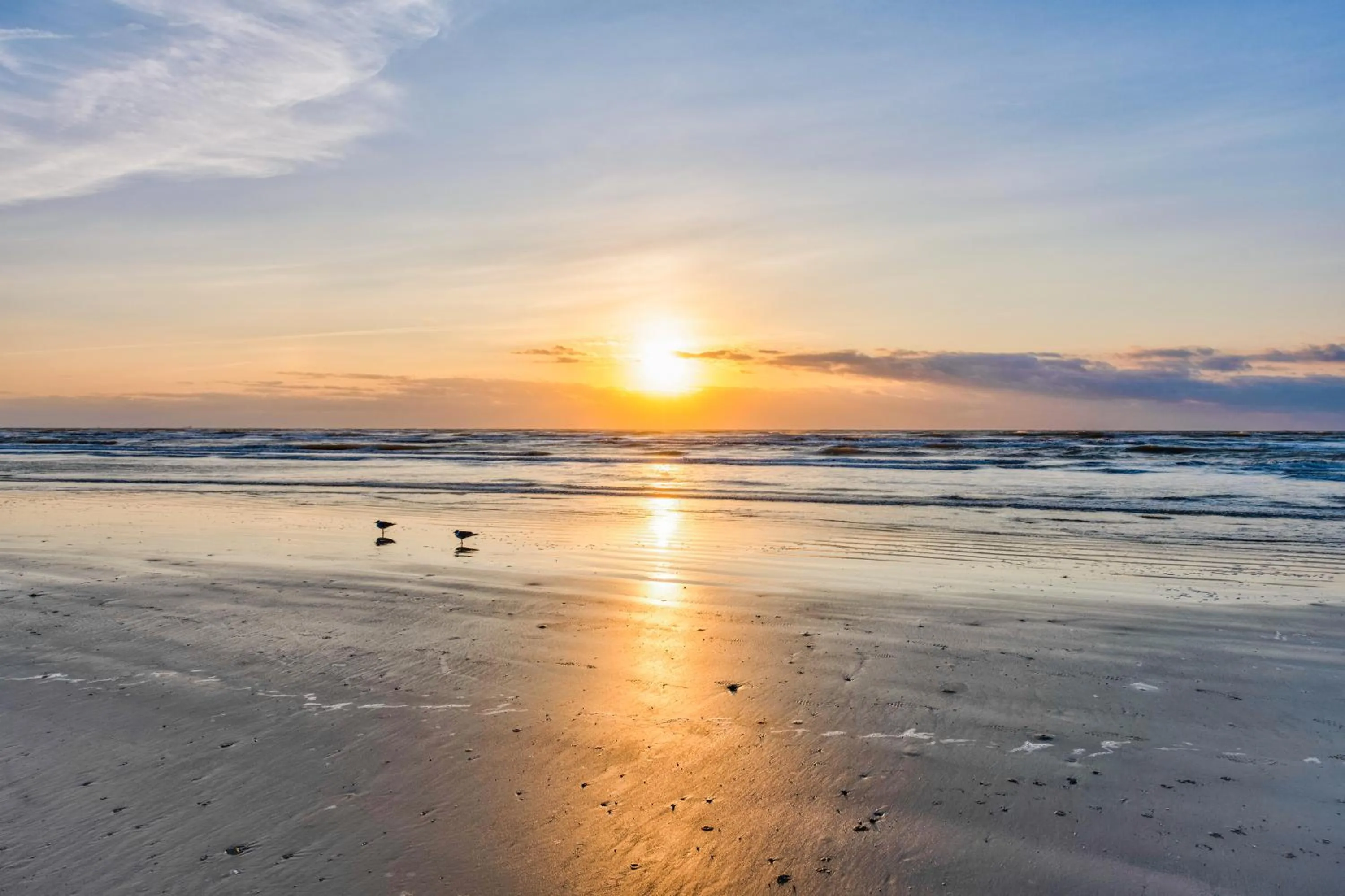 Other in Anchors Away - Beachhead BH503