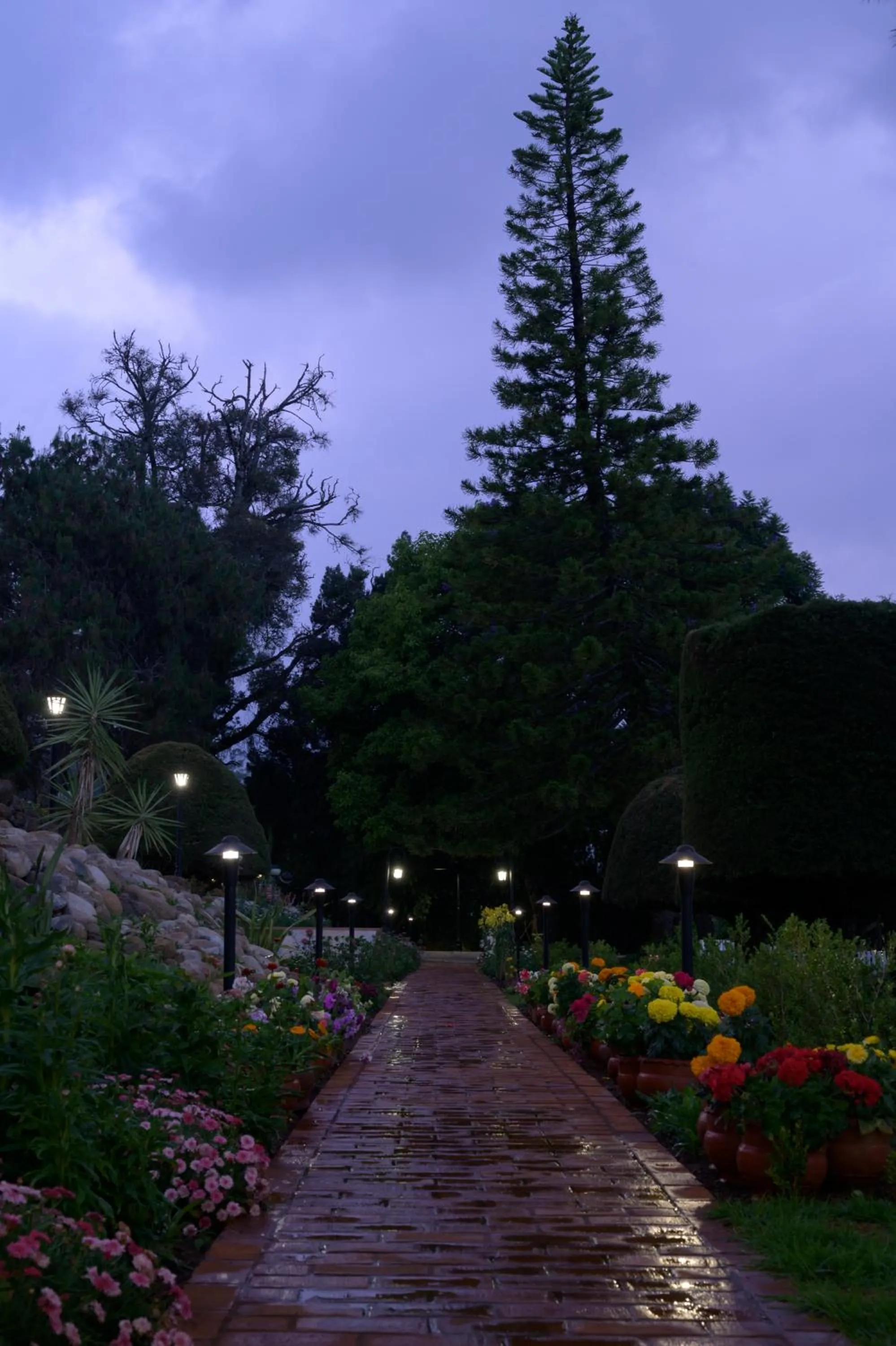 Natural landscape in Savoy - IHCL SeleQtions