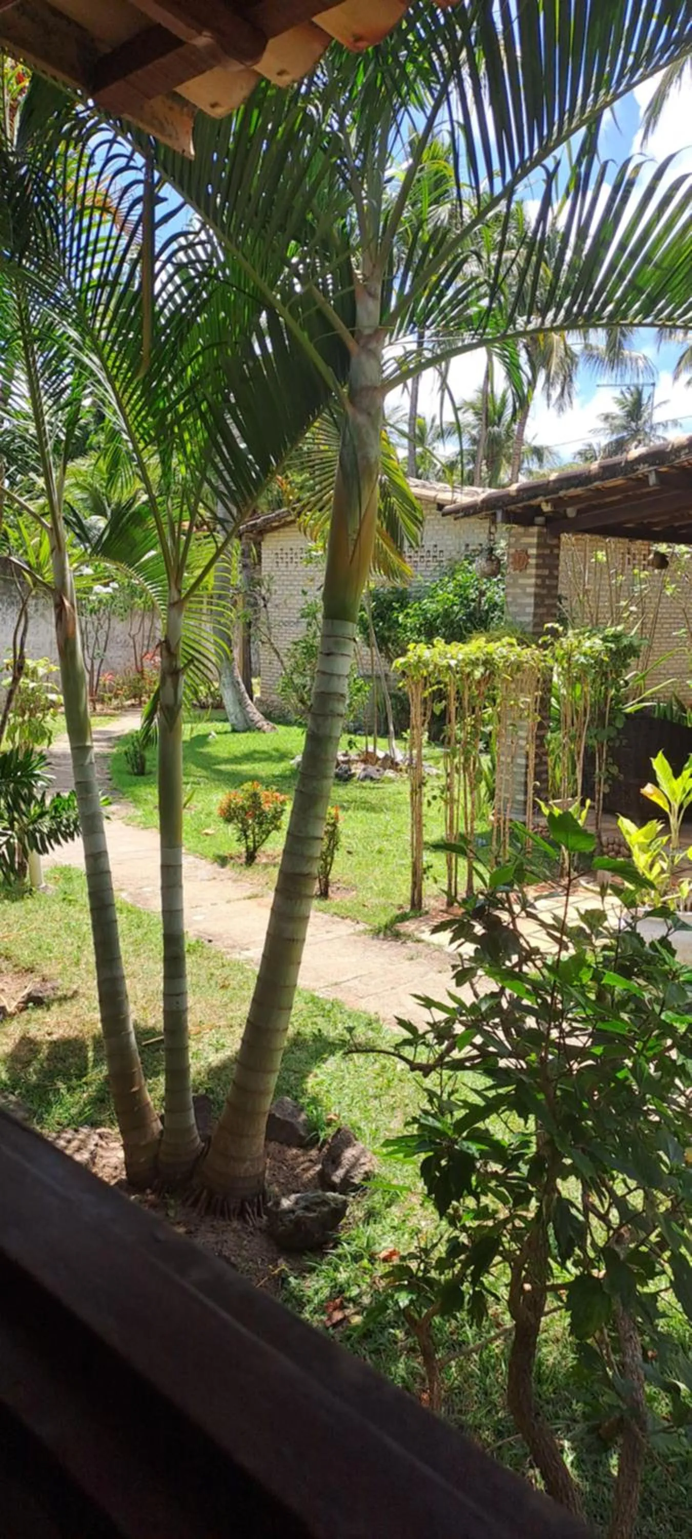Fiquei In Pipa - Chalé 21