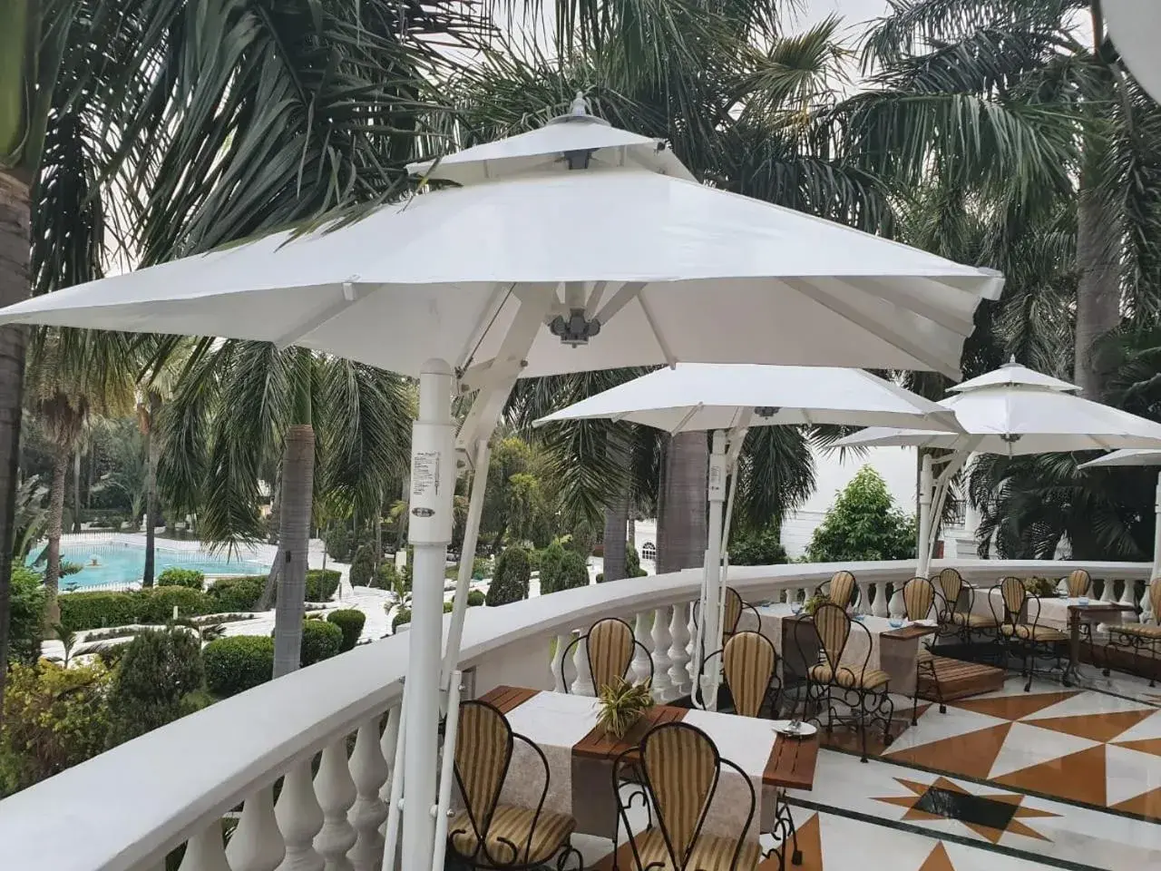 Restaurant/places to eat in Taj Mahal Lucknow Restaurant/places to eat in Taj Mahal Lucknow