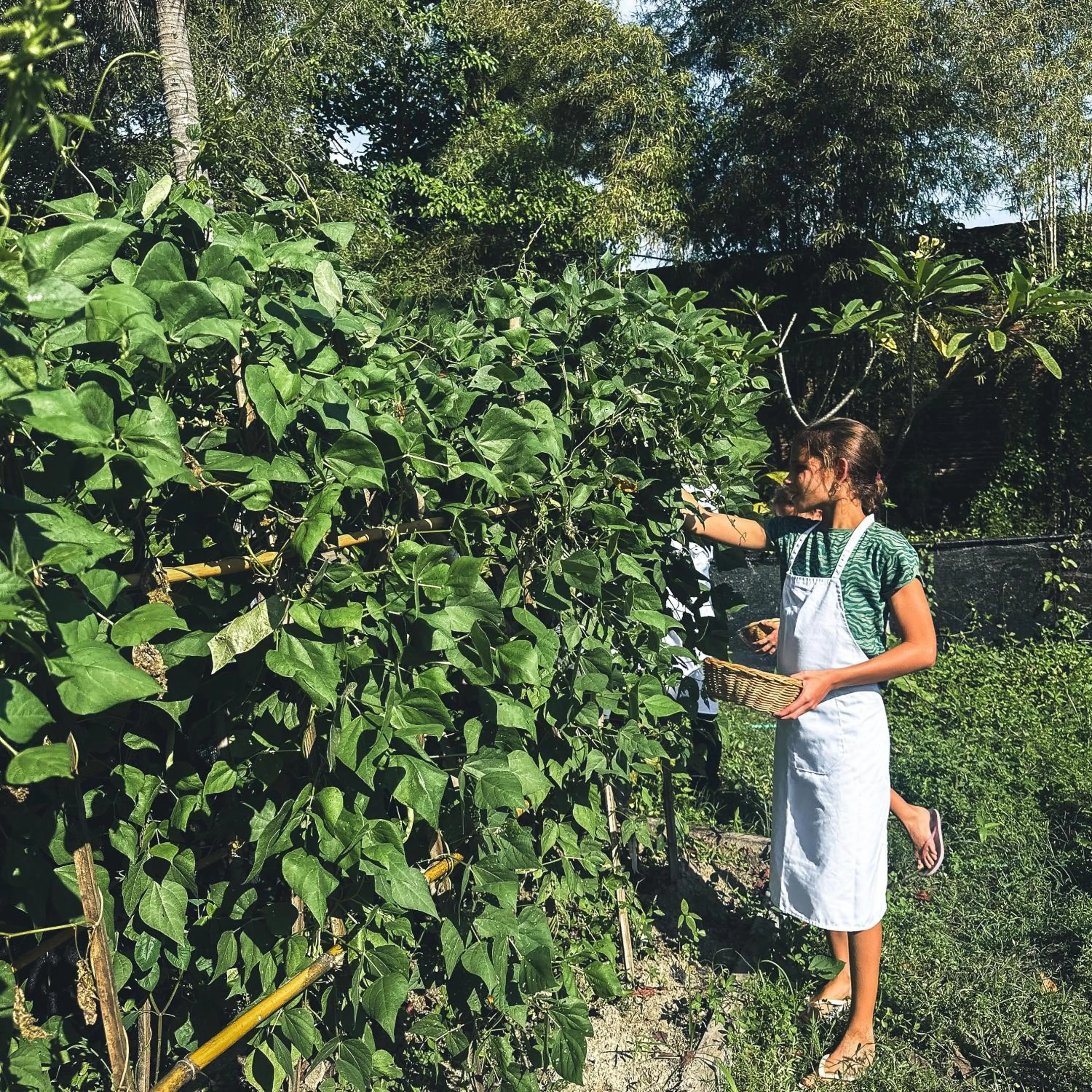 Garden in Tropik Resort Lombok