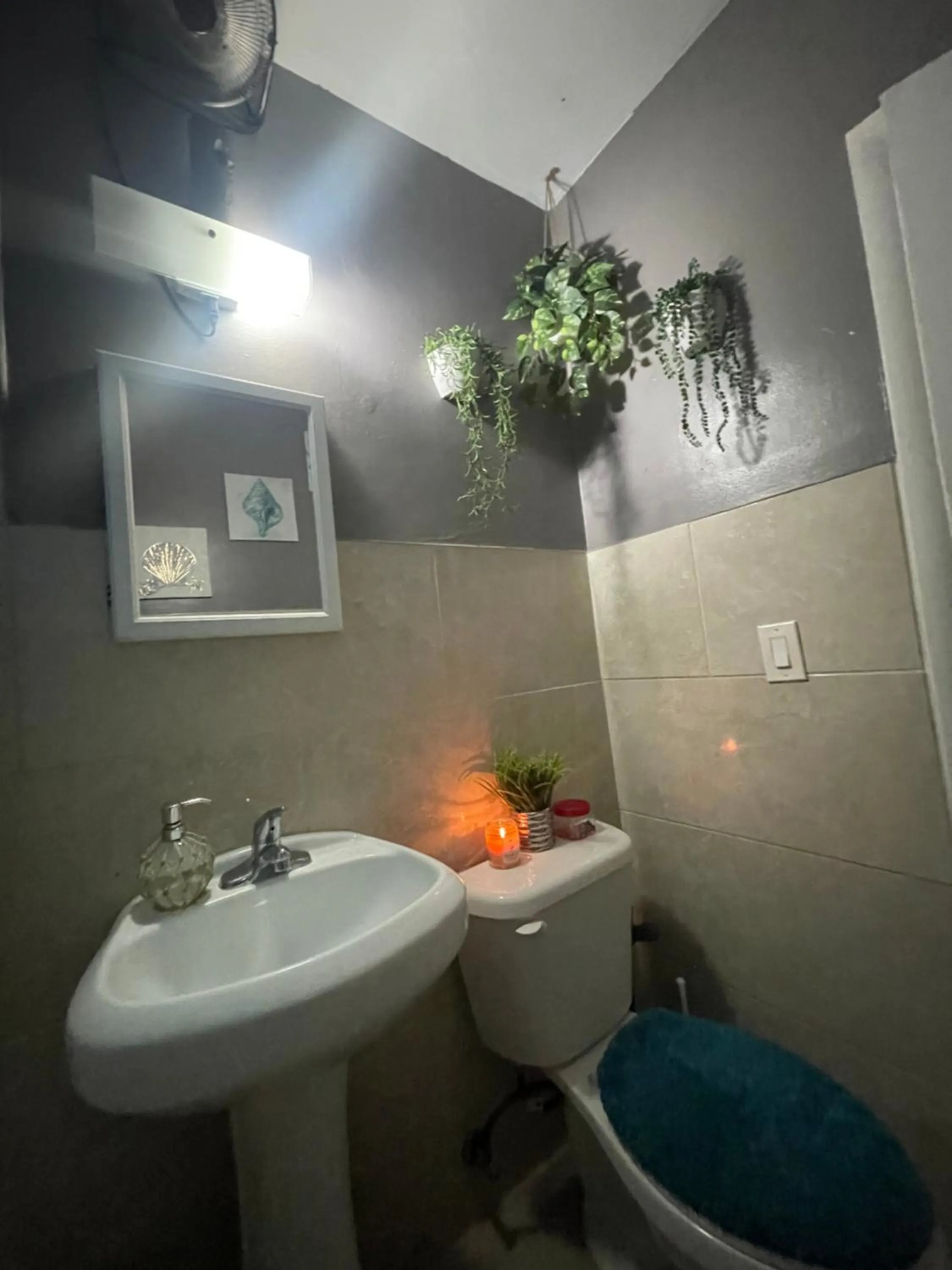 Miami Vibes "Hostel-Like" Shared Room