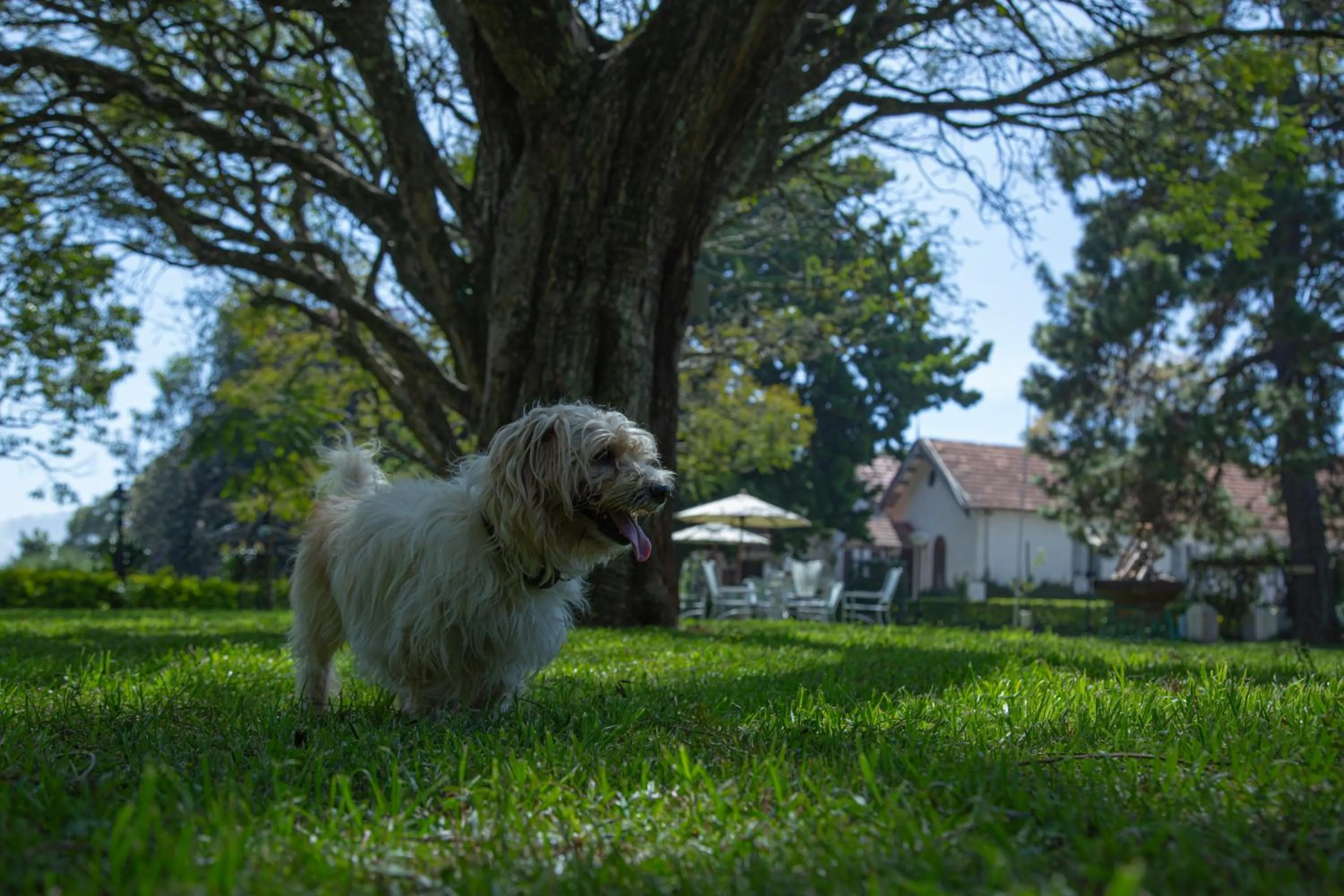 Garden in Gateway Coonoor