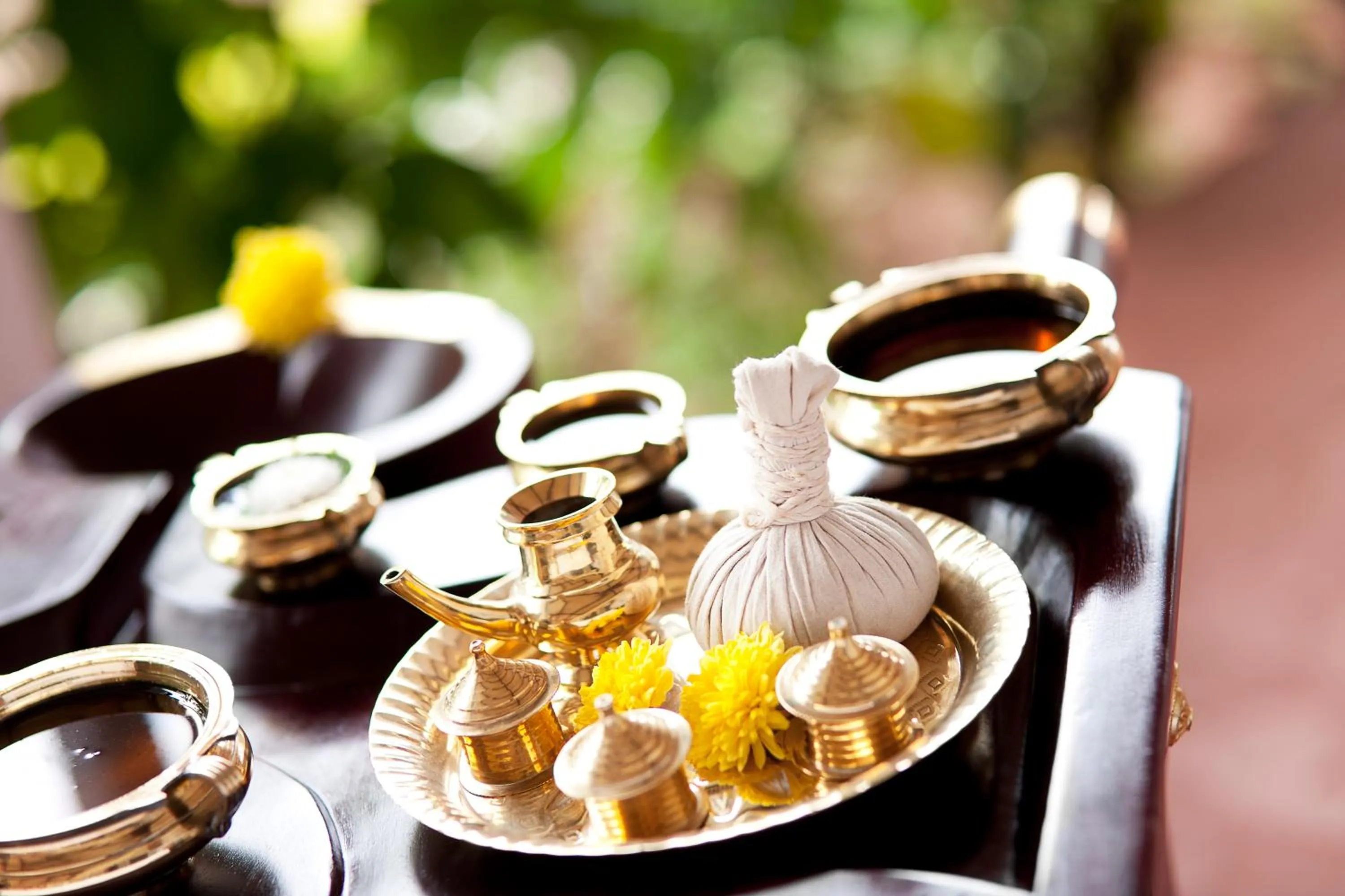 Spa and wellness centre/facilities in Gateway Coonoor