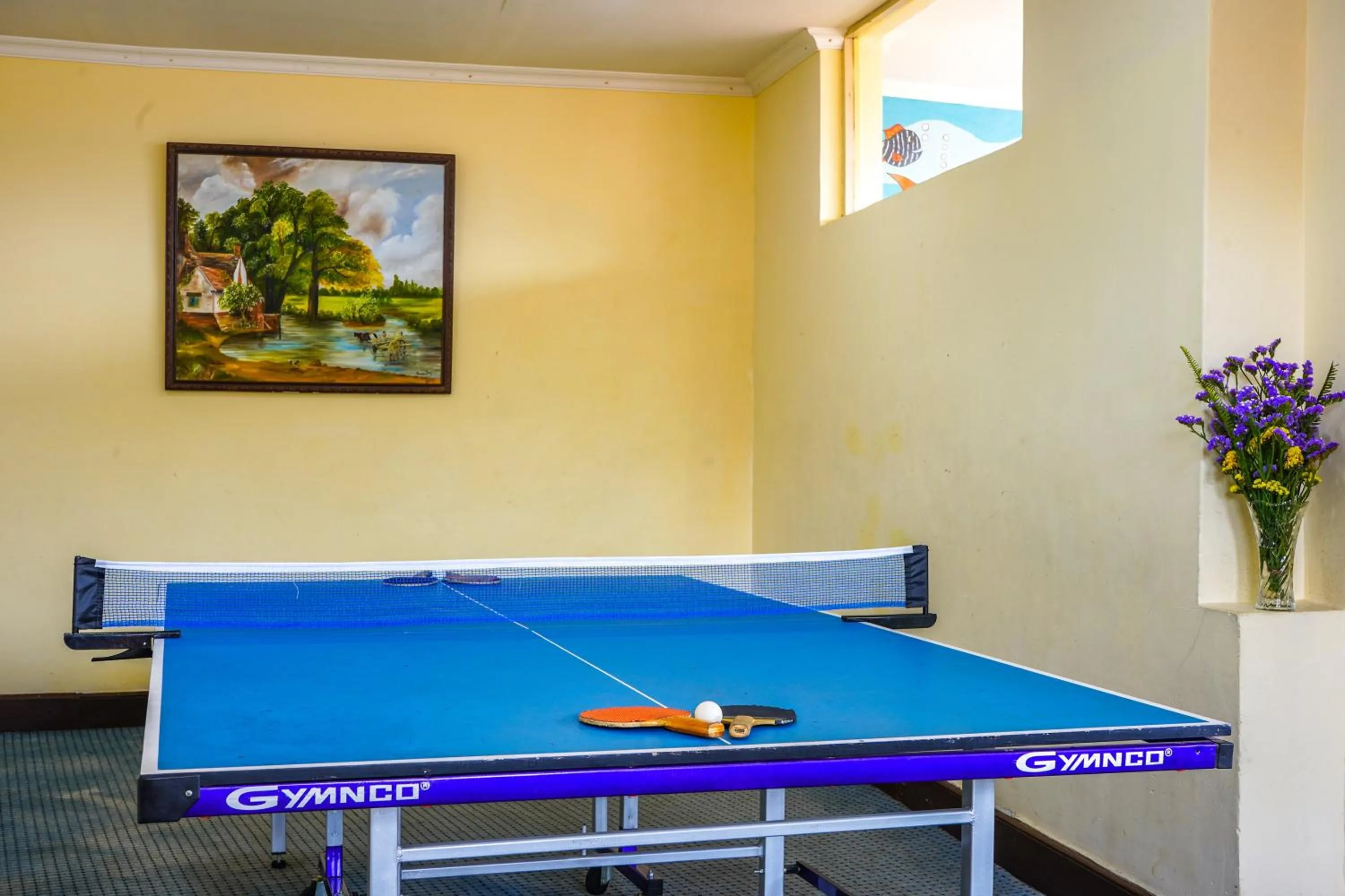 Table tennis in Gateway Coonoor