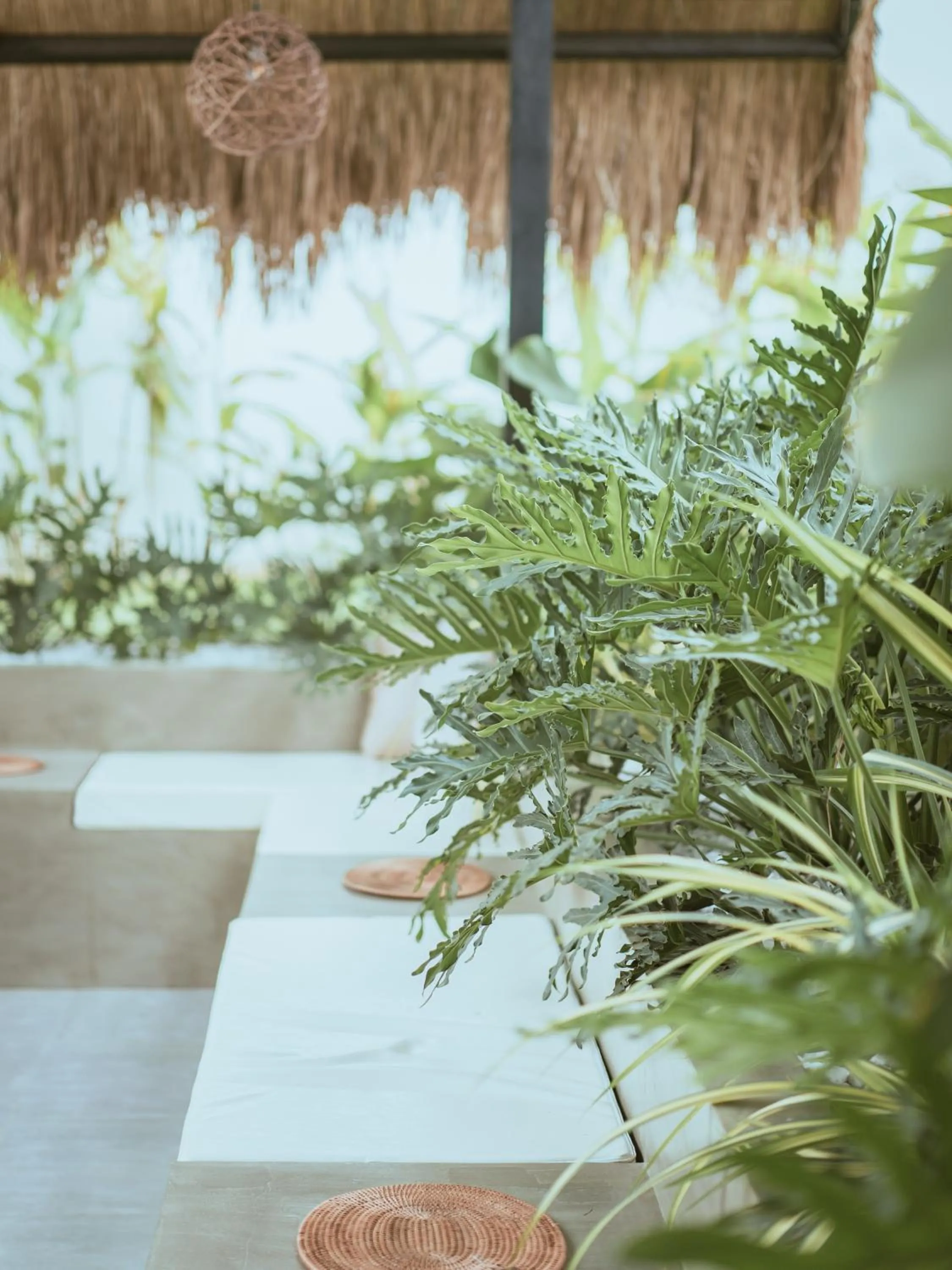 Lounge or bar in Ultra Mint Resort