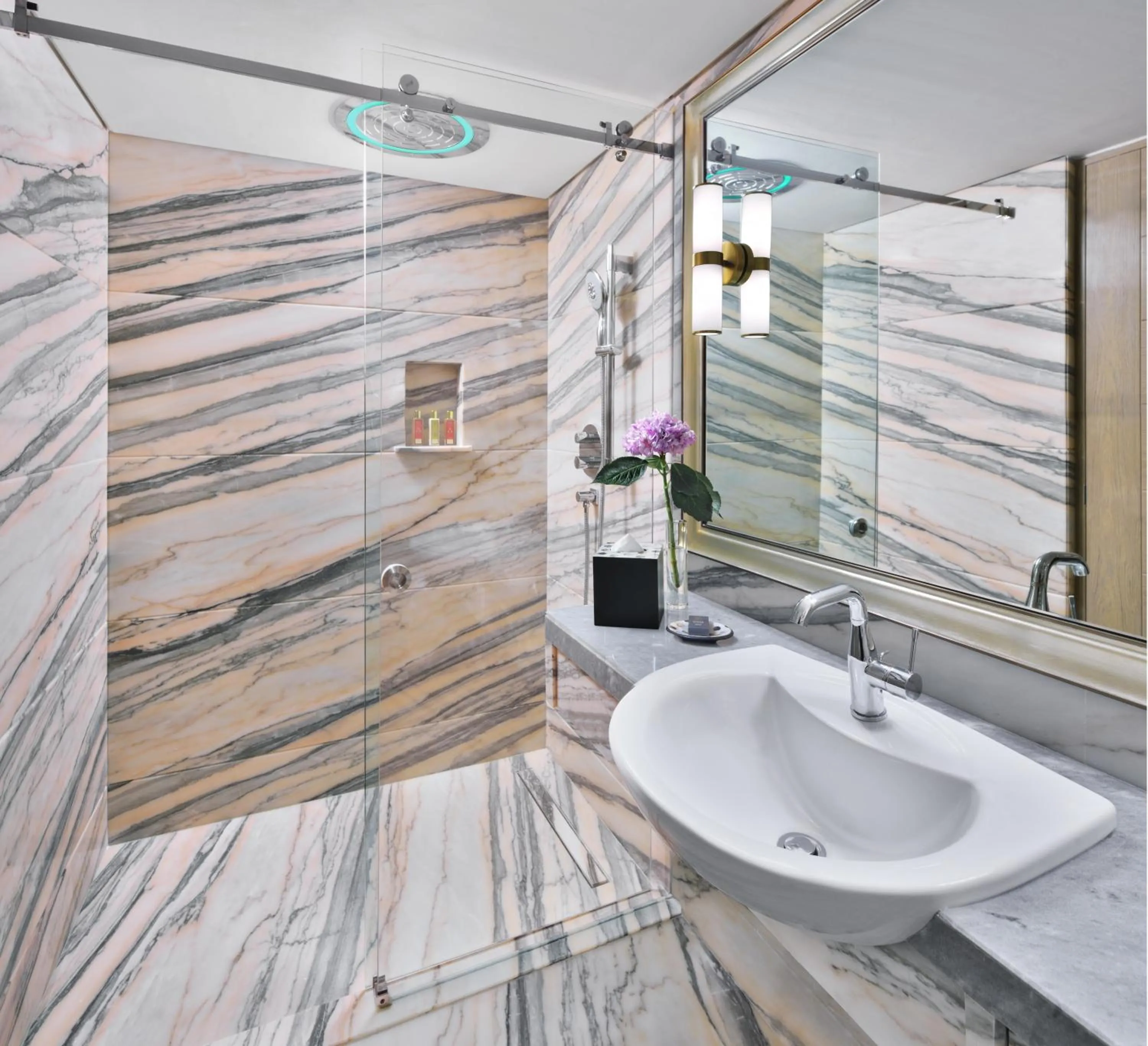 Toilet in Taj Mahal, New Delhi