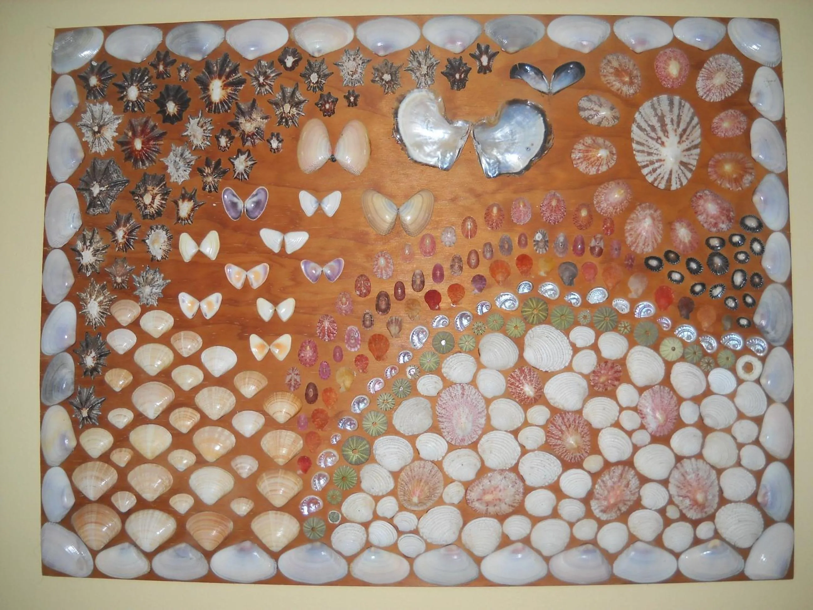 Decorative detail in Sandown Self-Catering