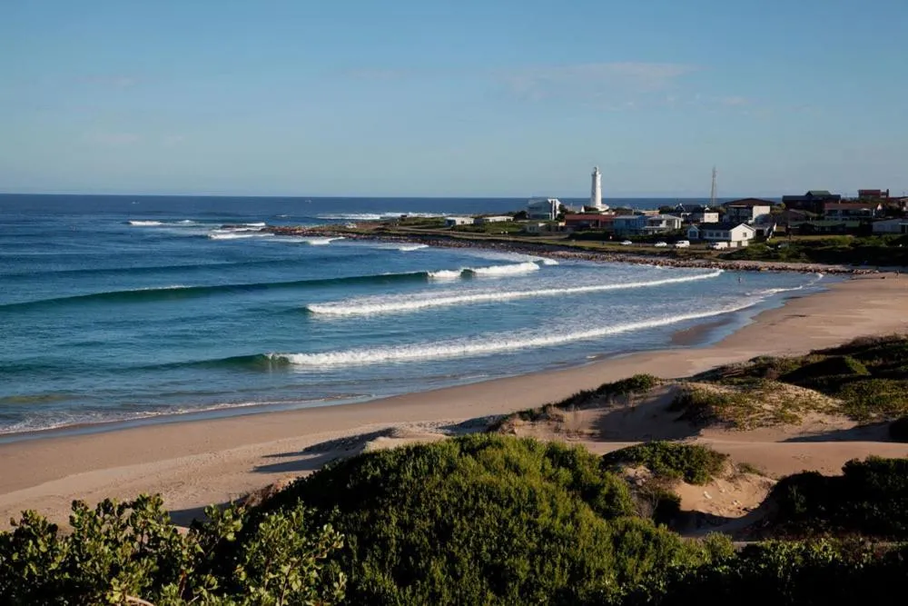 Activities in Sandown Self-Catering
